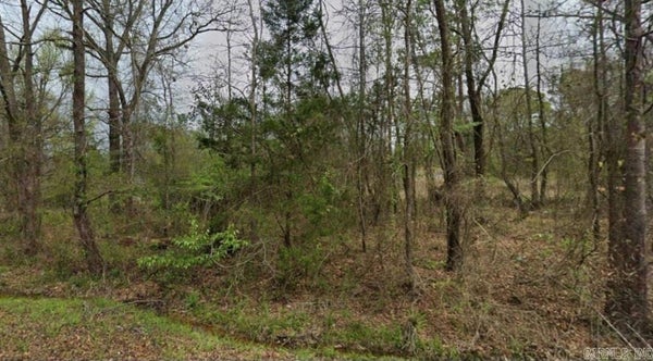 520 OKLAHOMA ST, CAMDEN, AR 71701 - Image 8c64d6c31bfa00ecb74ebe2850167e91/360615132