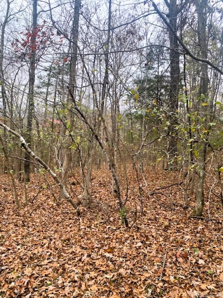 Lancaster-Tubbs Creek Homes - Land