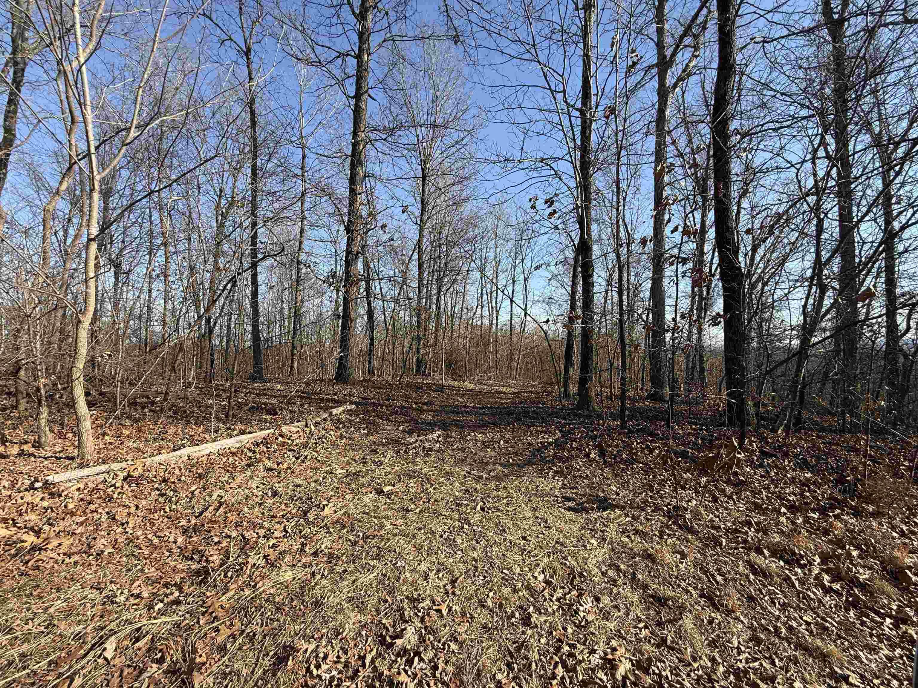 Metes & Bounds - Land