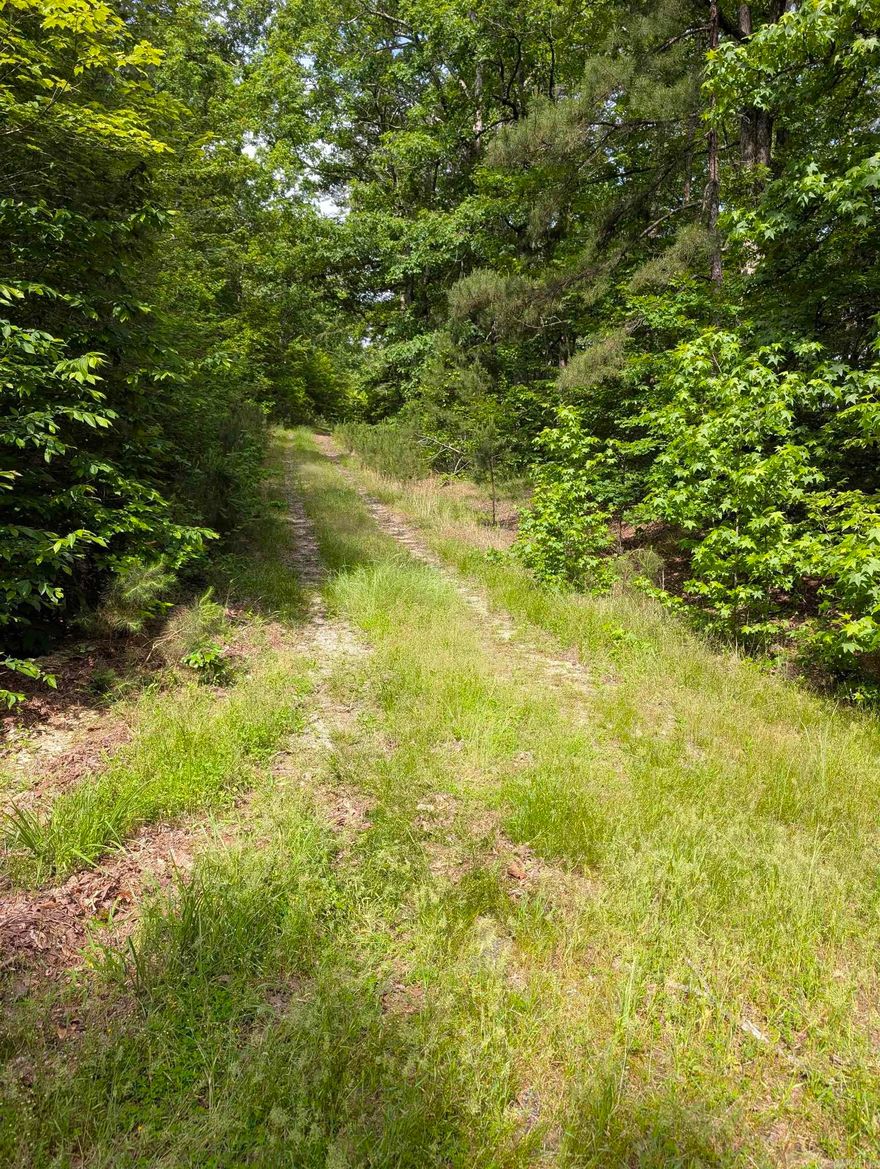 This is a beautiful secluded lot on a street that has no other homes on it yet.  This lot is on a hill with no neighbors, sounds of peaceful breezes.  Utilities at the road, wooded lot with butterflies, mushrooms, and mosses.  Build your private oasis on this peaceful lot.