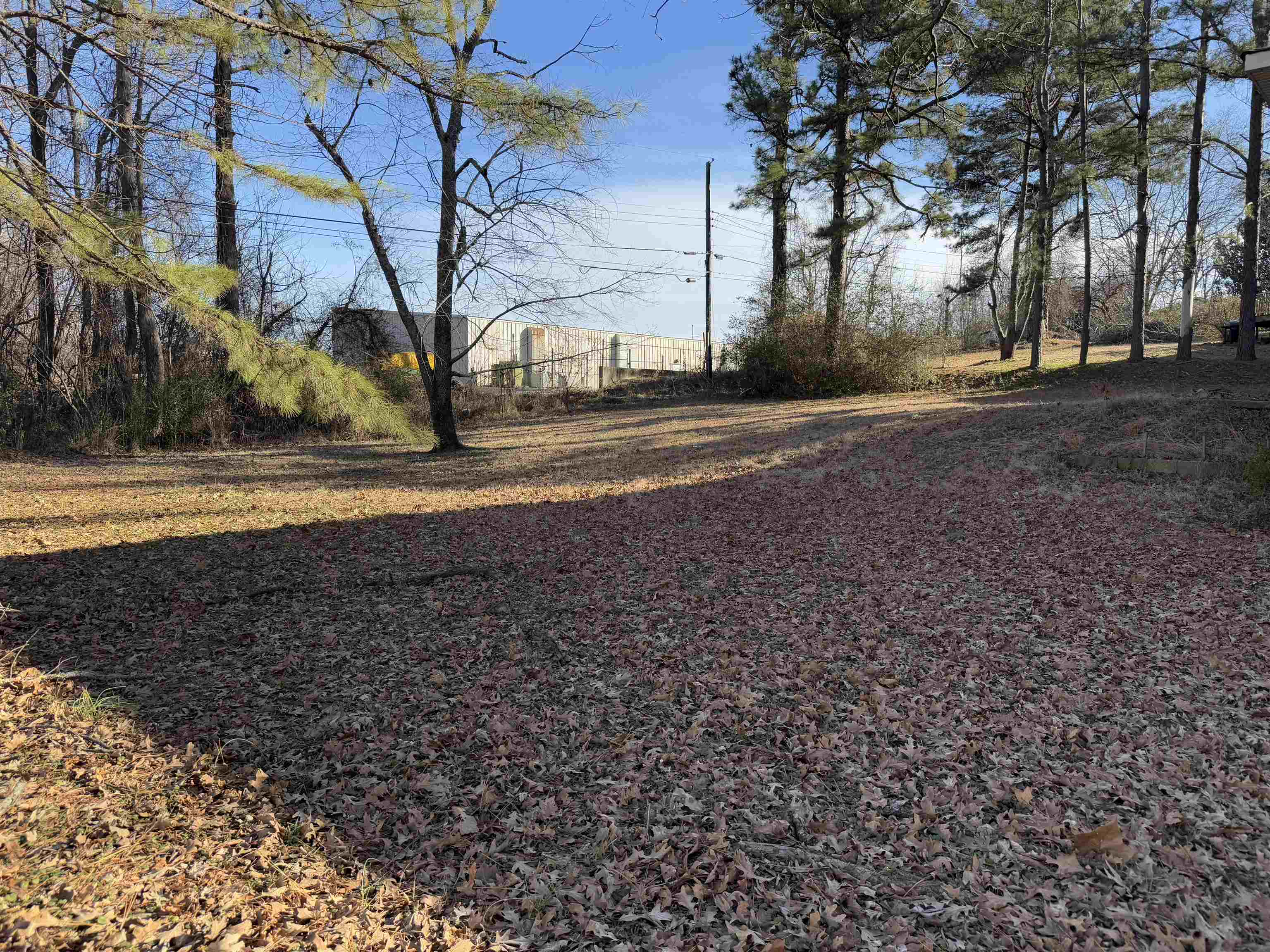 MAYO TEDDER - Residential