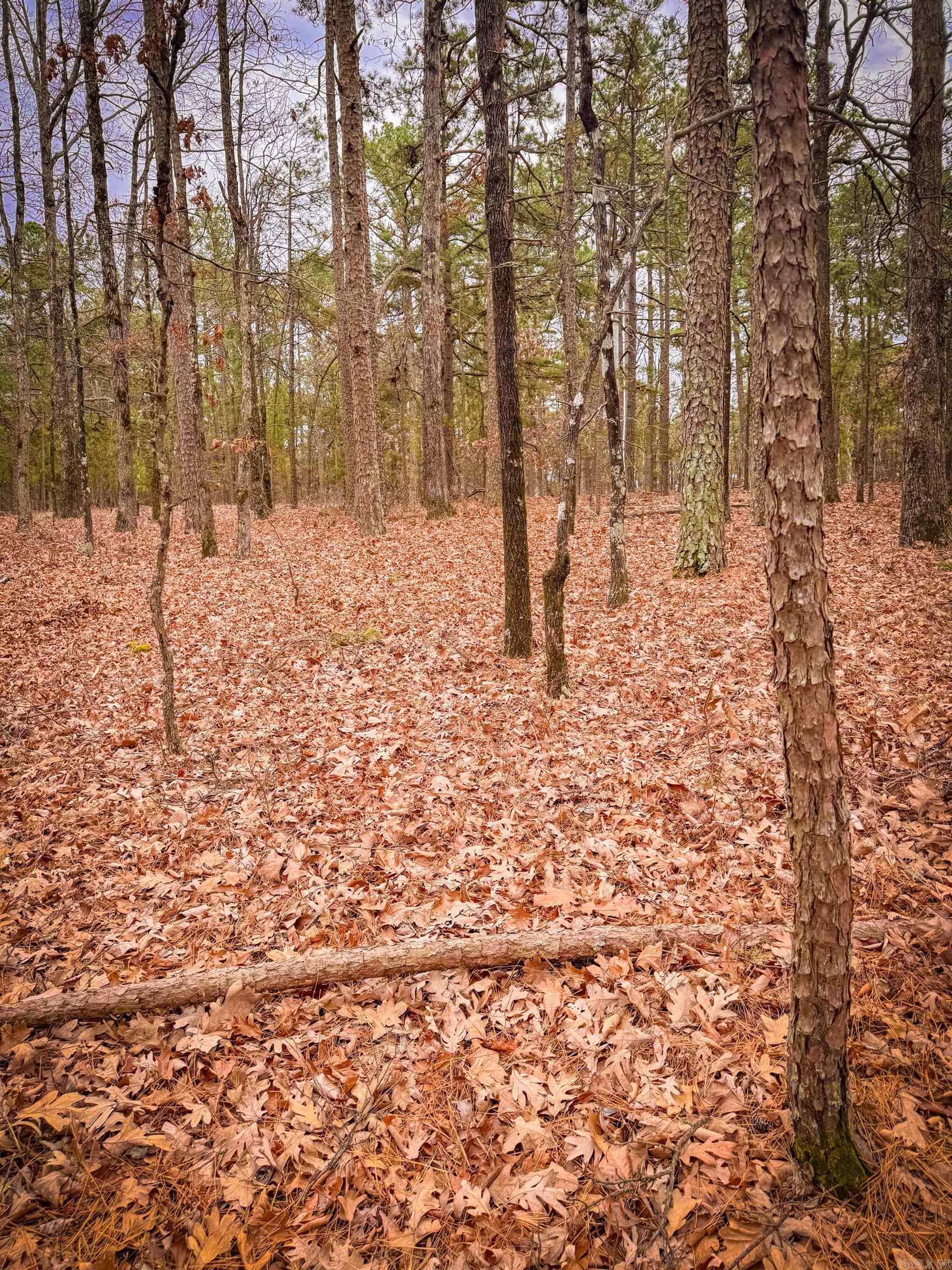 Heather Ridge - Land