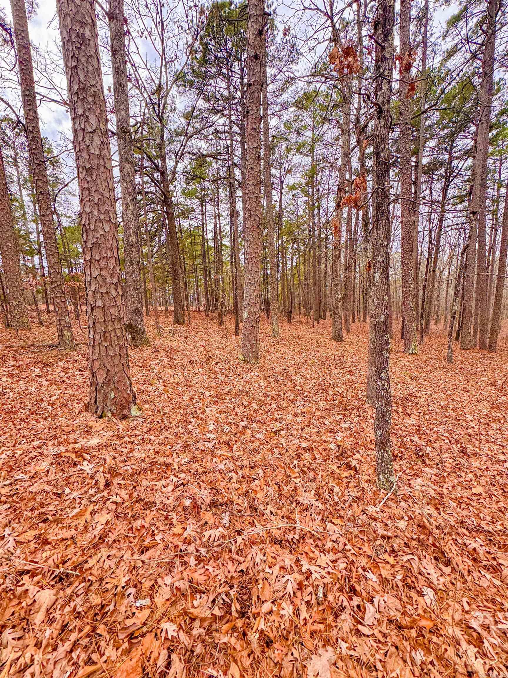 Heather Ridge - Land