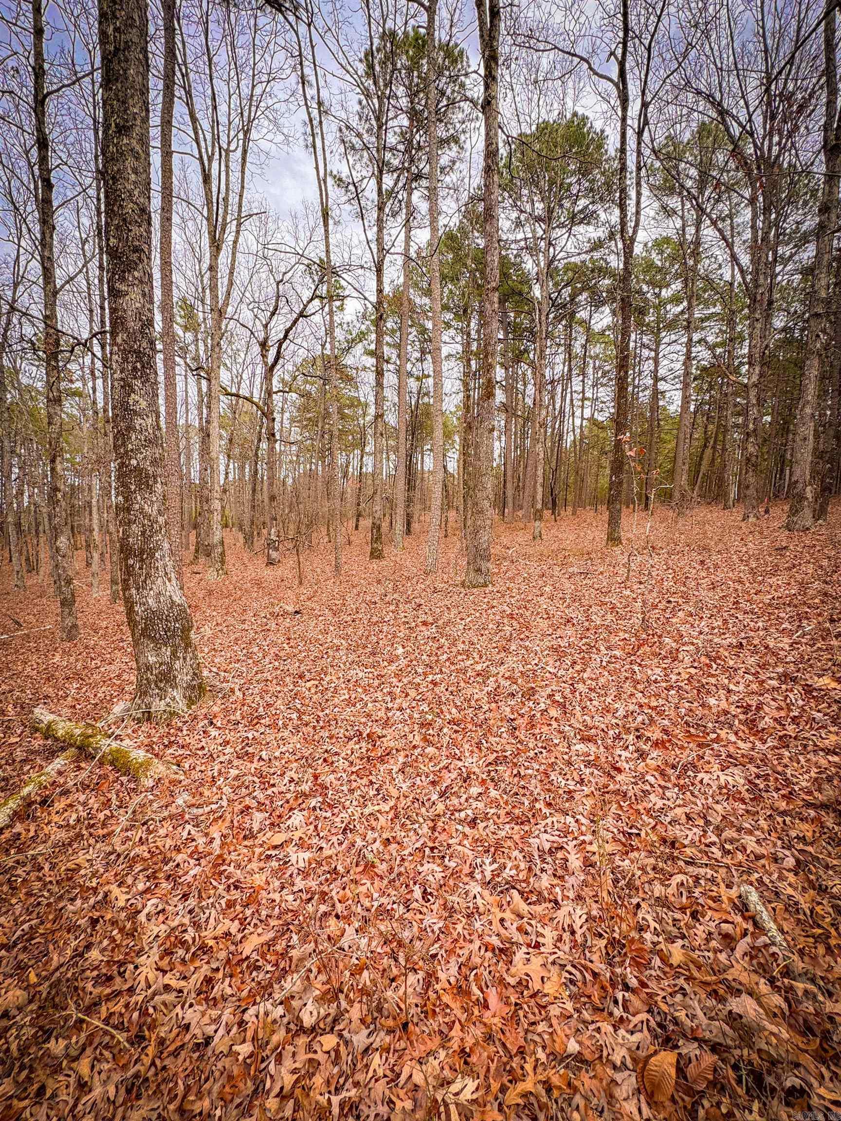 Heather Ridge - Land