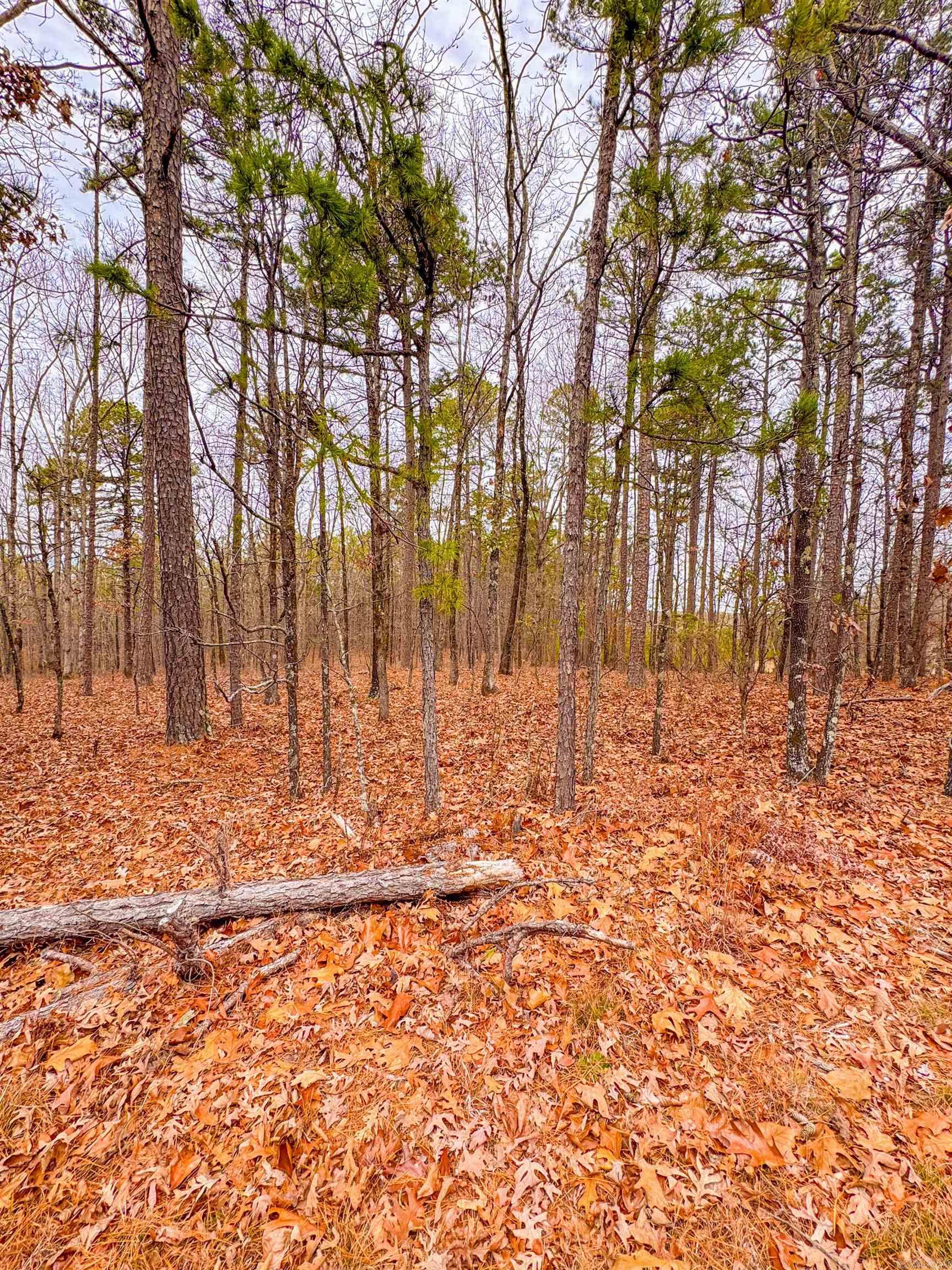 Heather Ridge - Land