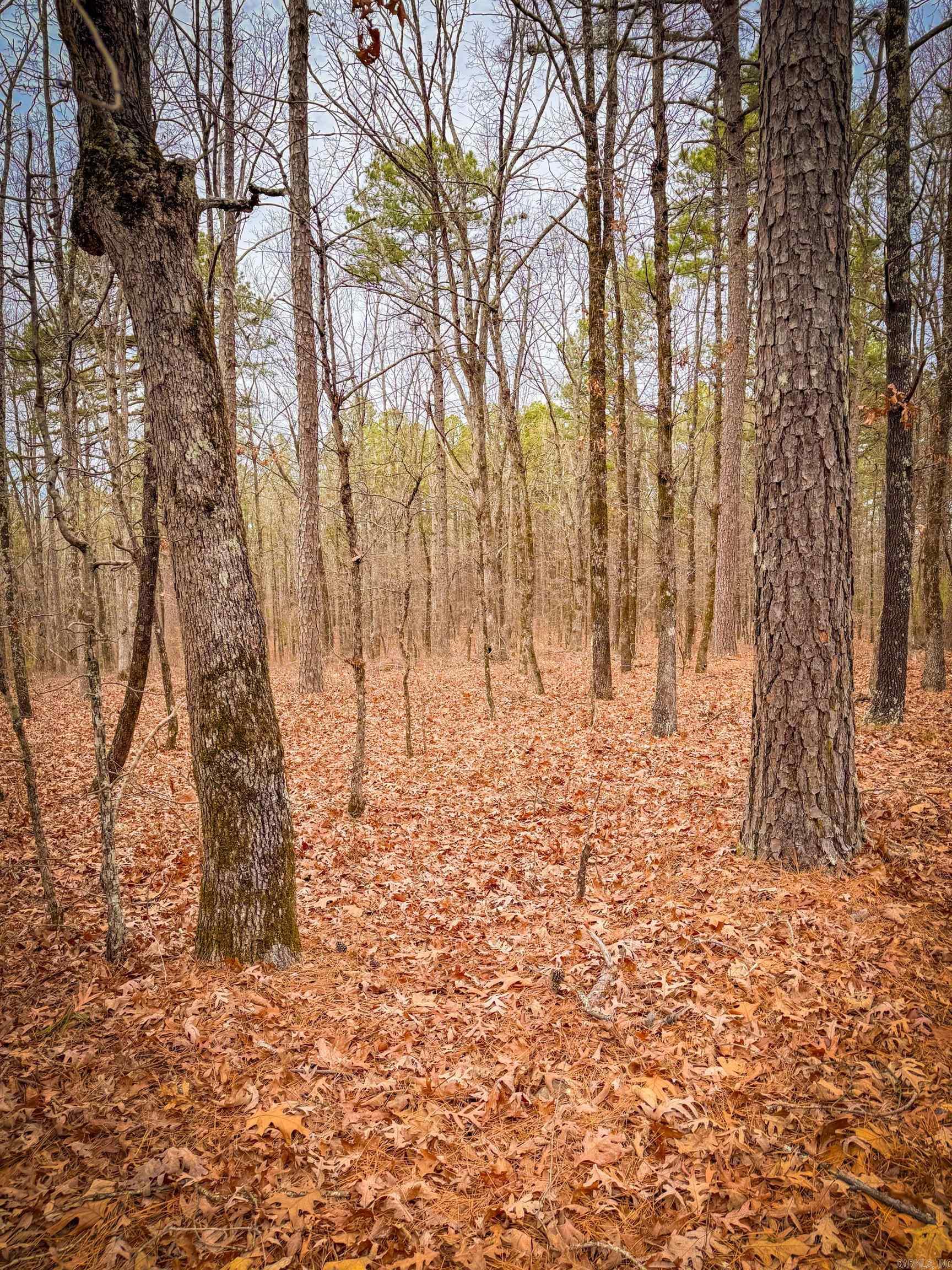 Heather Ridge - Land