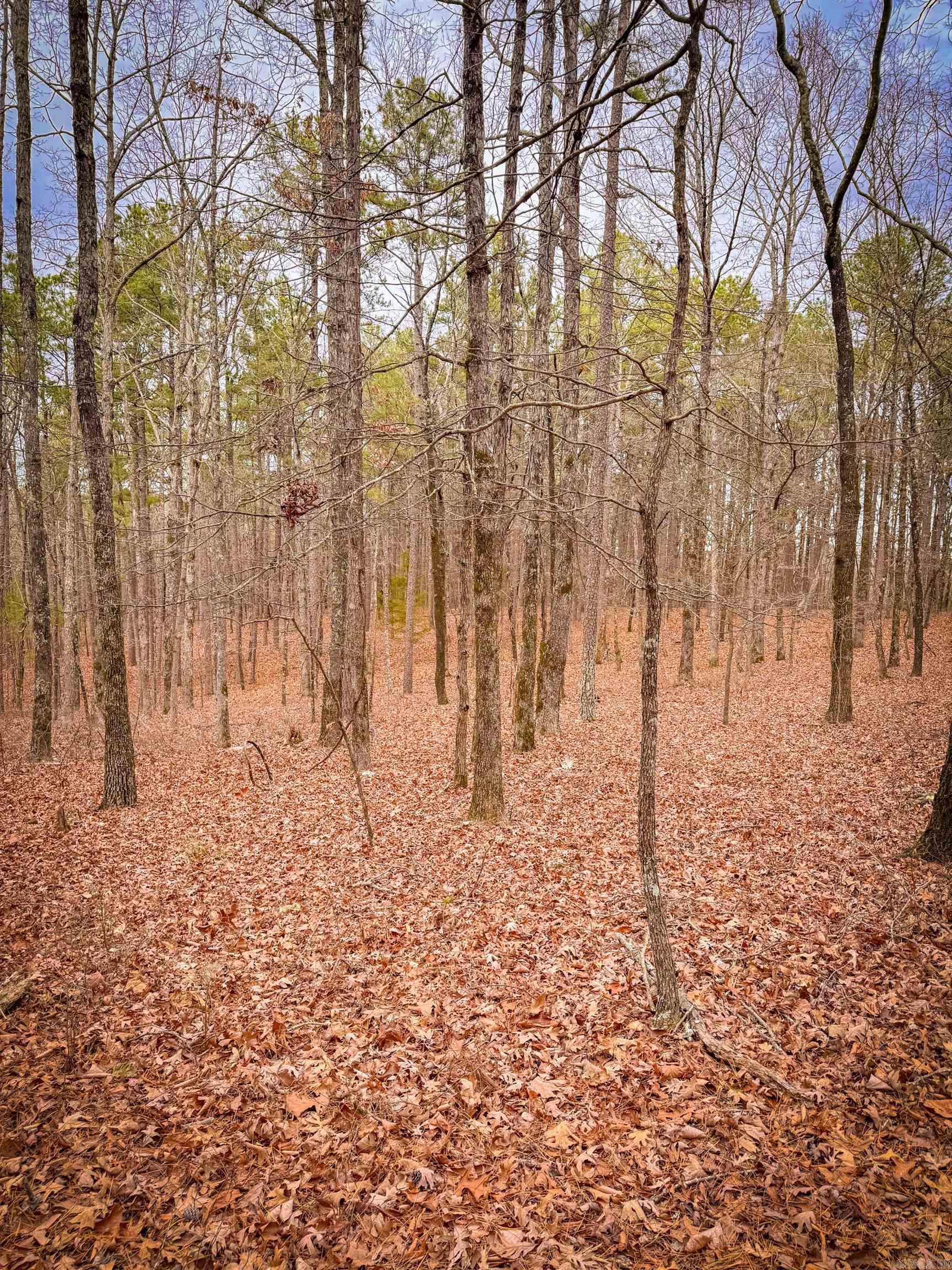 Heather Ridge - Land