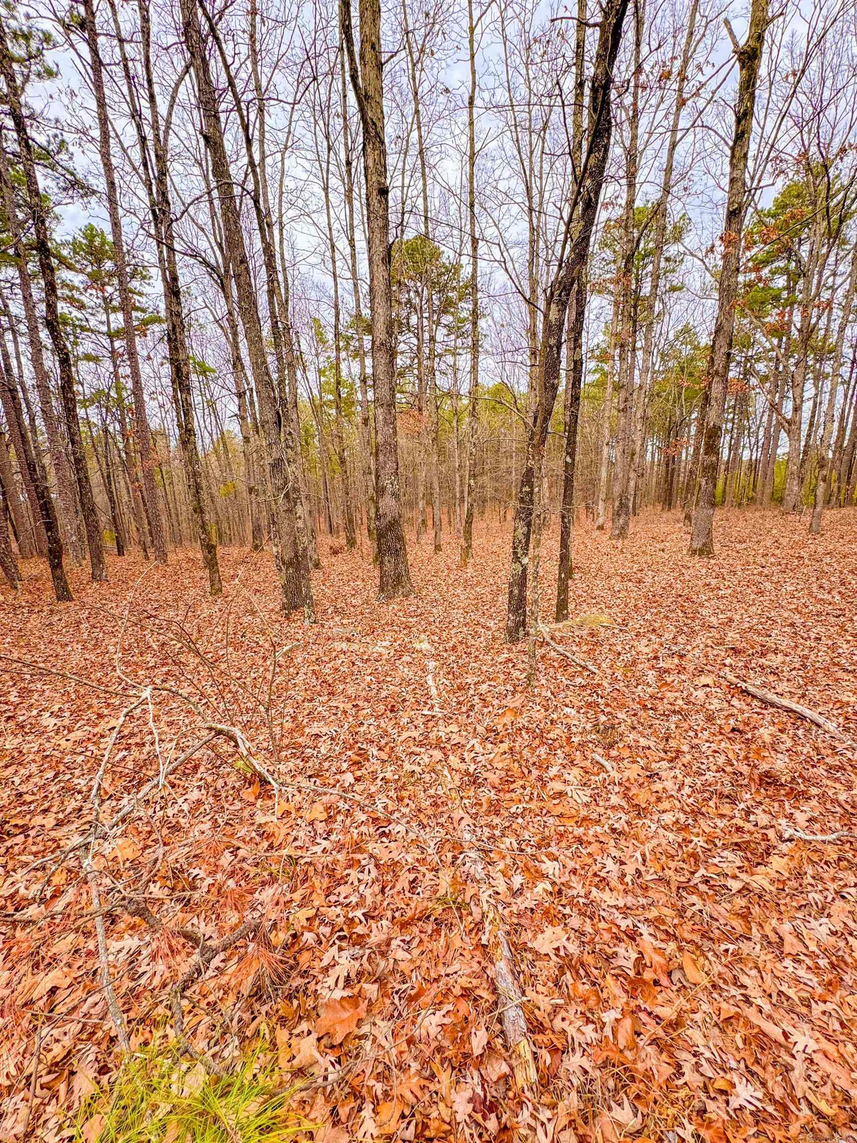 Heather Ridge - Land