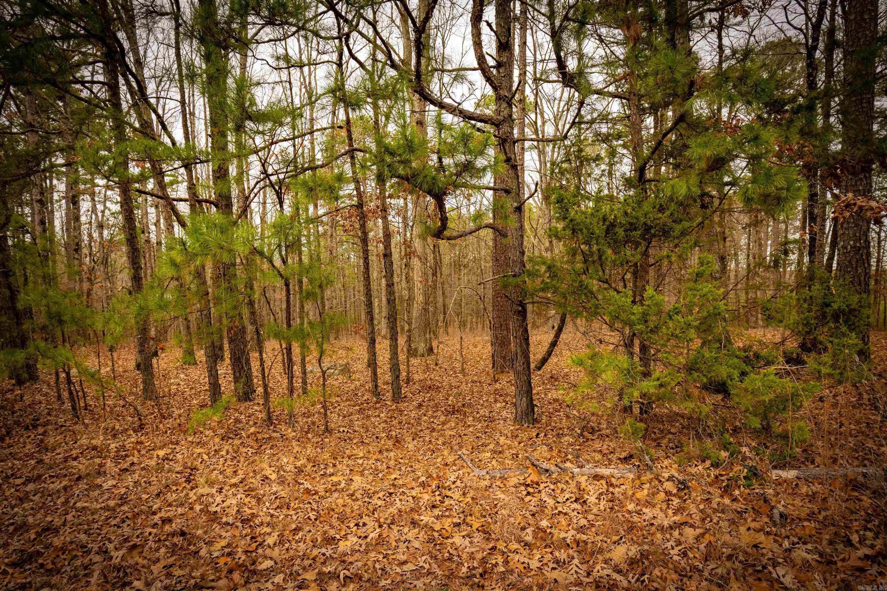 Heather Ridge - Land