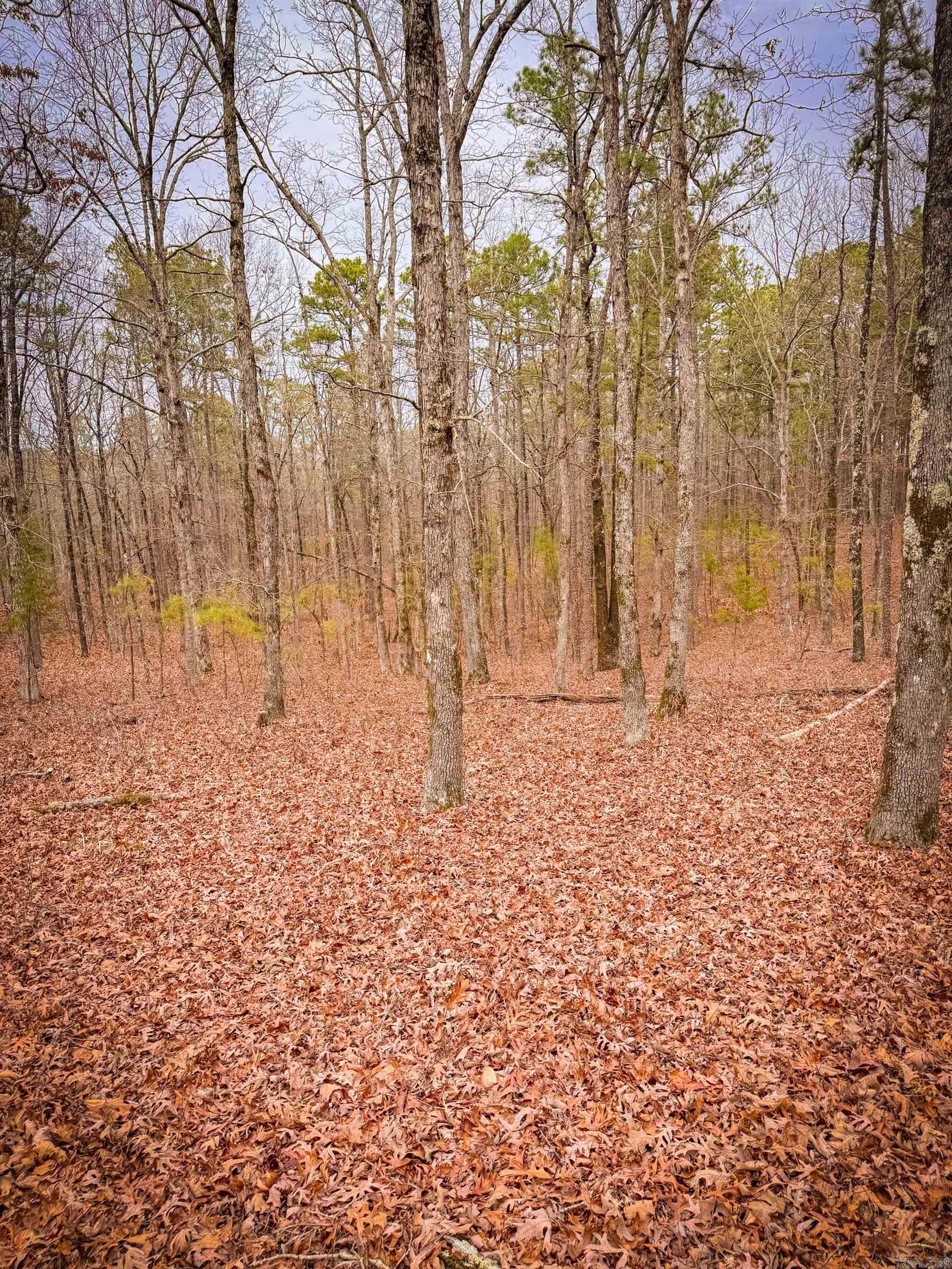 Heather Ridge - Land