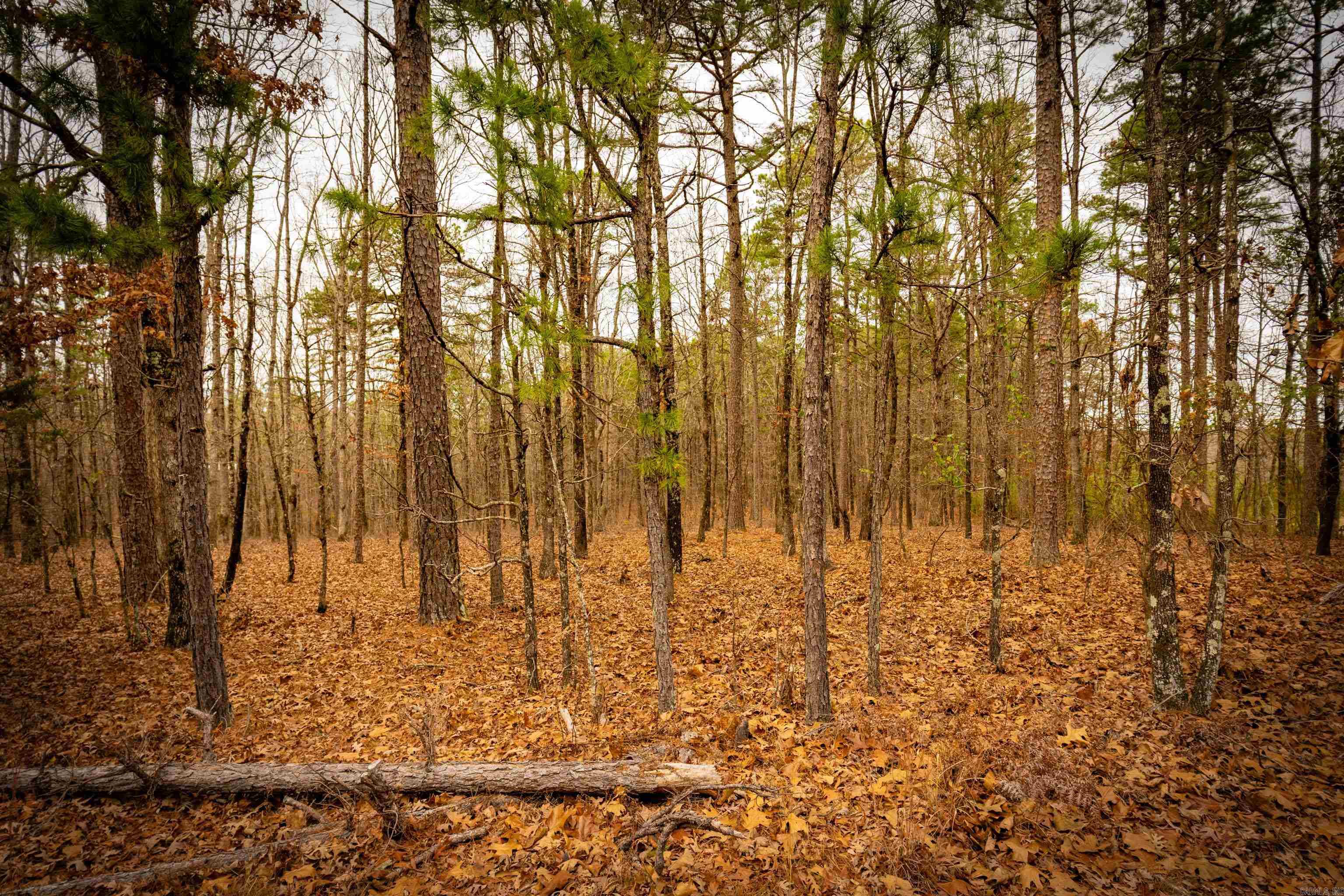 Heather Ridge - Land