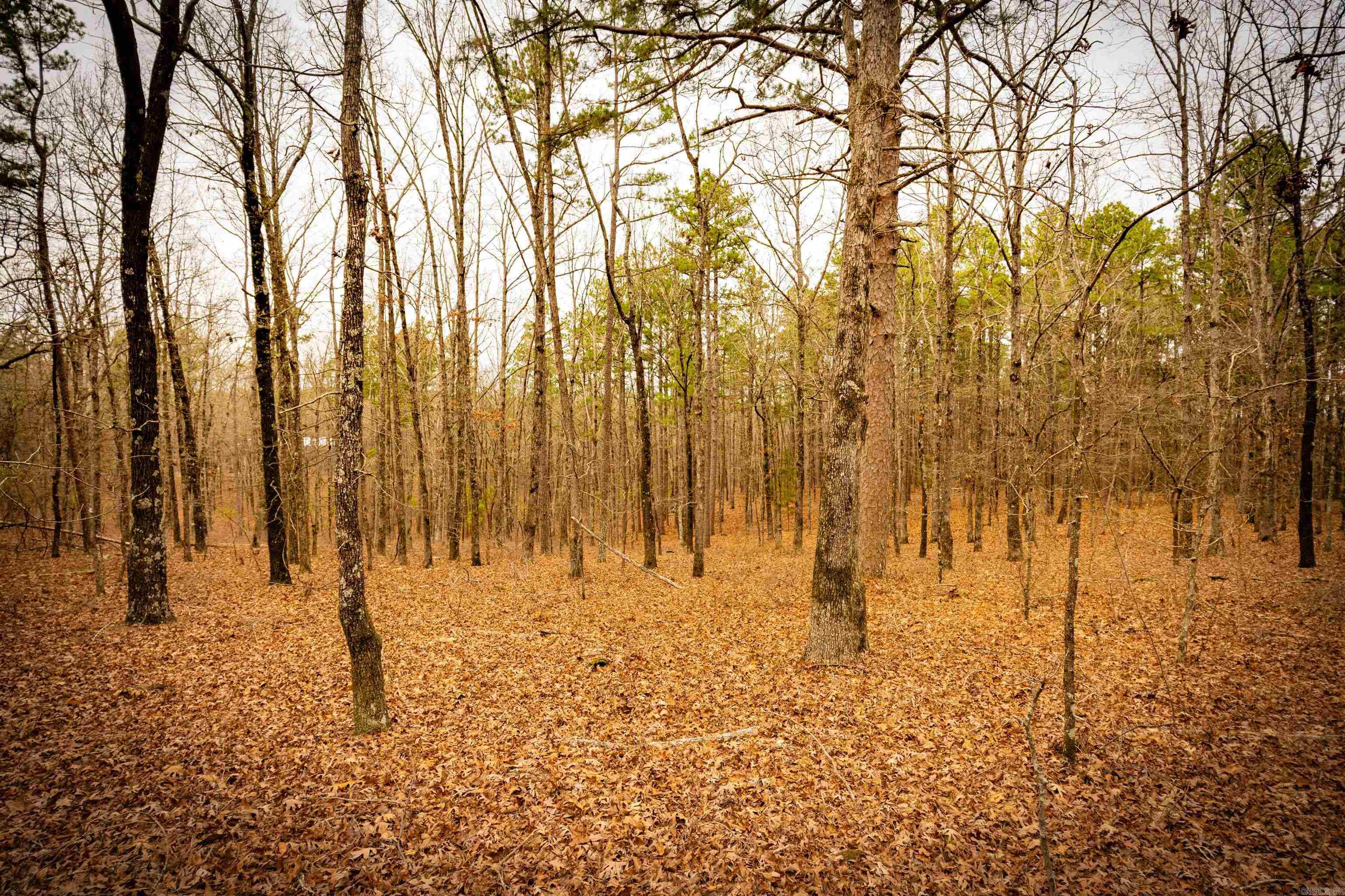 Heather Ridge - Land