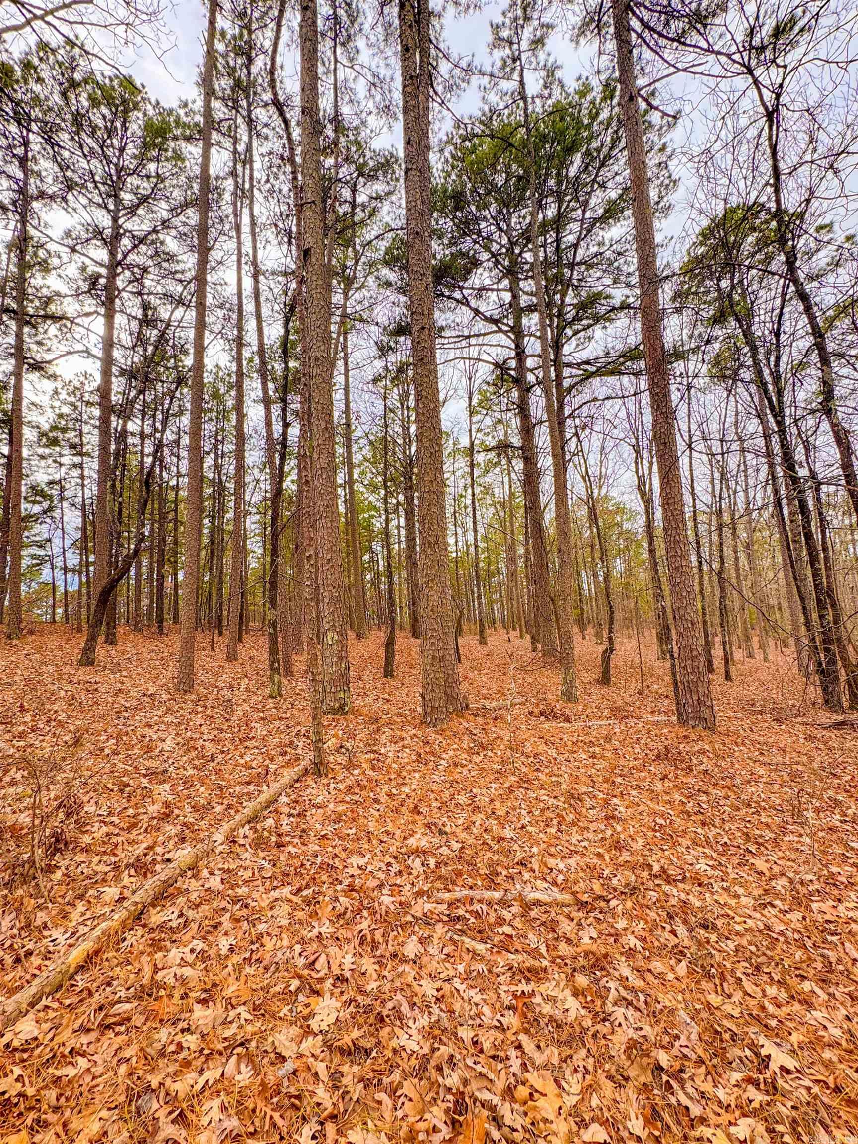 Heather Ridge - Land