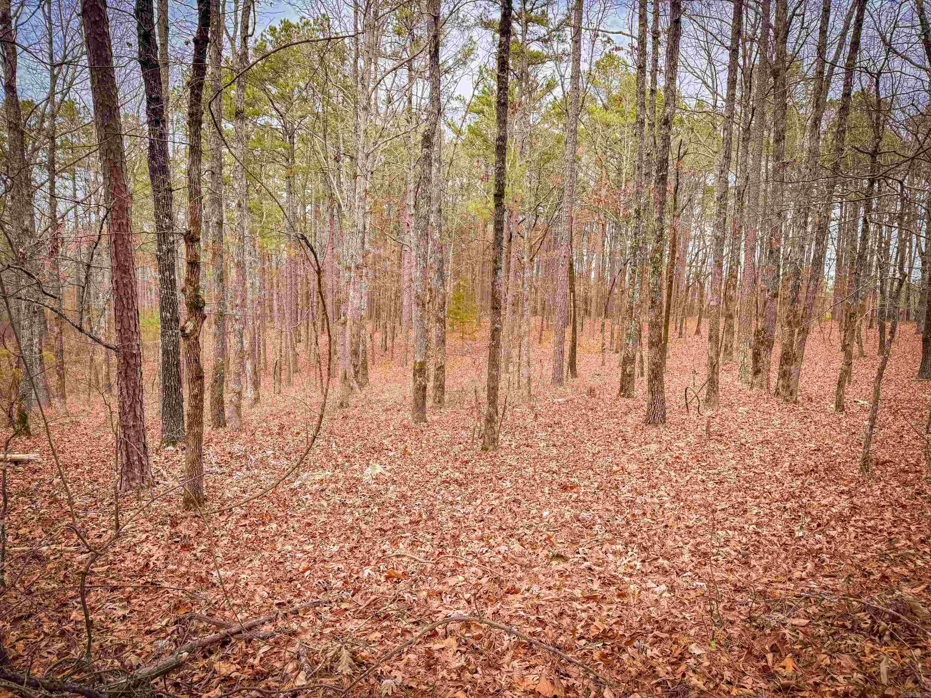 Heather Ridge - Land