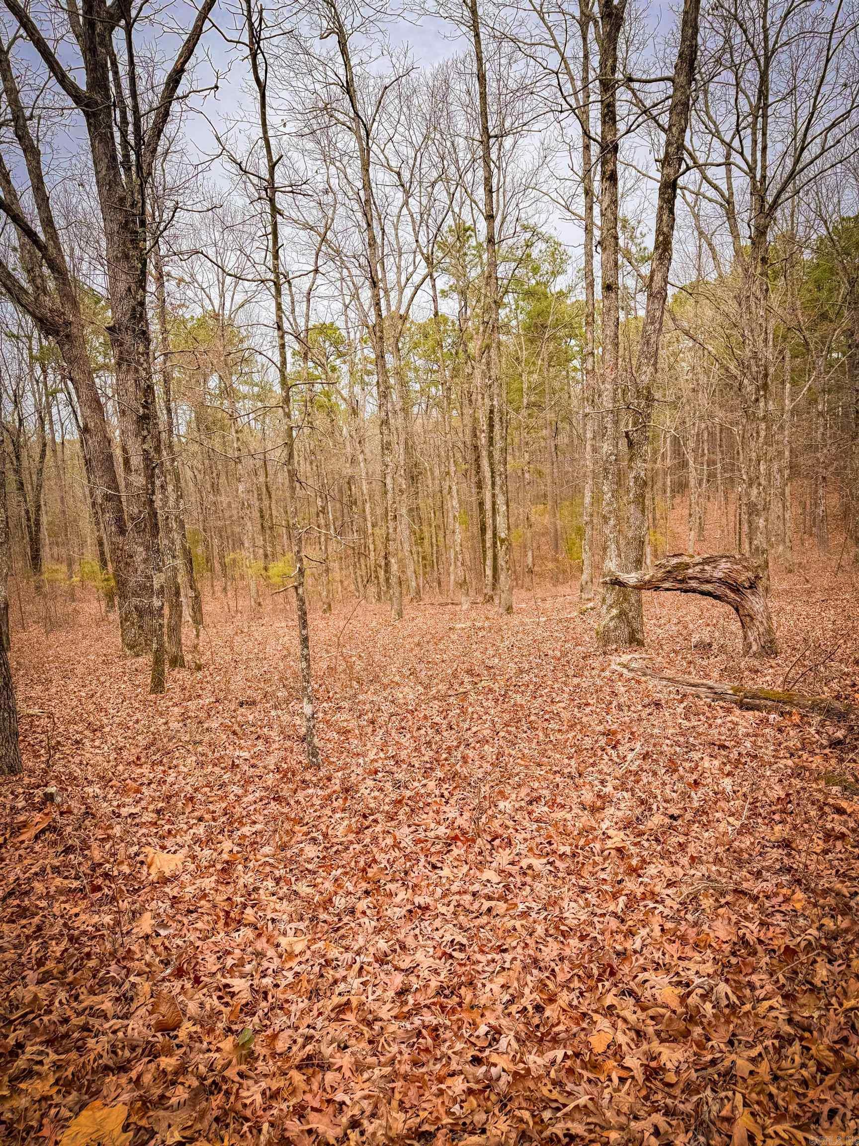 Heather Ridge - Land