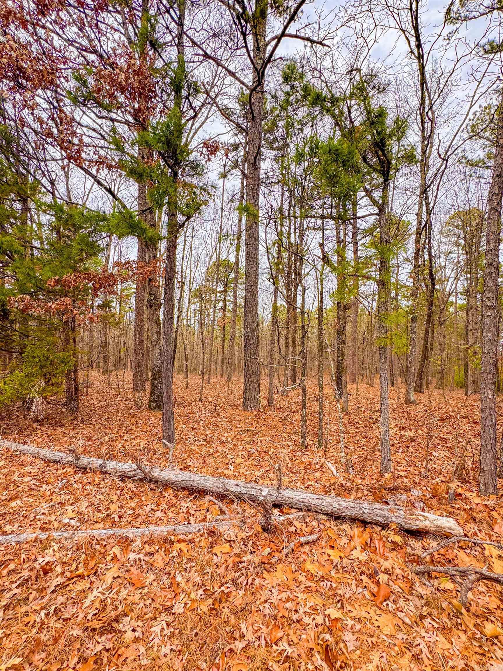 Heather Ridge - Land