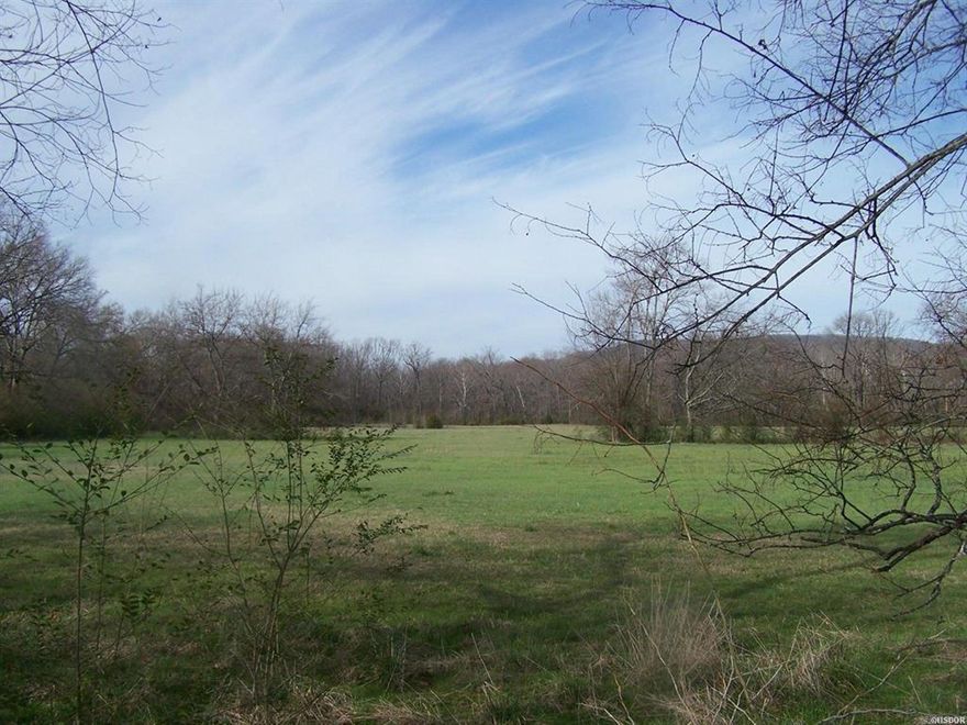 25 +- Acres, Small pasture with lots of timber, bordering on the Noth side by Glazepeau Creek, property runs to the center of creek.Seller to retain Mioneral rights for 10 years.