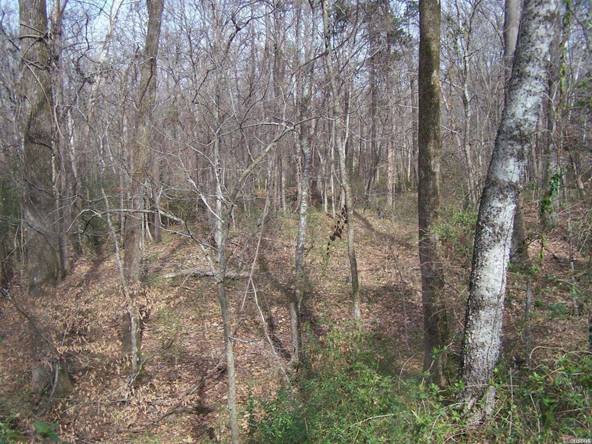 Metes & Bounds - Land