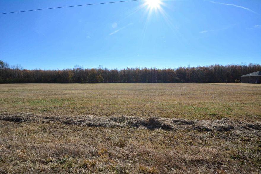 One of Cabot's best kept secrets! Nice level, cleared country lots that are ready to build on. Discount priced! Just a few miles east of Cabot. Strong Bill of Assurance. No Mobiles. Chickens and horses are allowed! Lonoke address but Cabot School District. Mineral Rights DO NOT CONVEY.