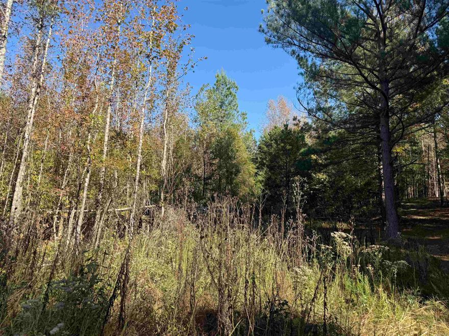 Discover the charm of this 9.57-acre tract nestled along a quiet county gravel road. Mostly wooded with gentle rolling hills, this property offers beautiful natural scenery and a sense of privacy while still being convenient to town.  Utilities are available at the road, giving you a great head start whether you plan to build, create a weekend getaway, or simply enjoy the land as it is.  If you’ve been searching for a pretty piece of land with character and potential, this one is a must-see!