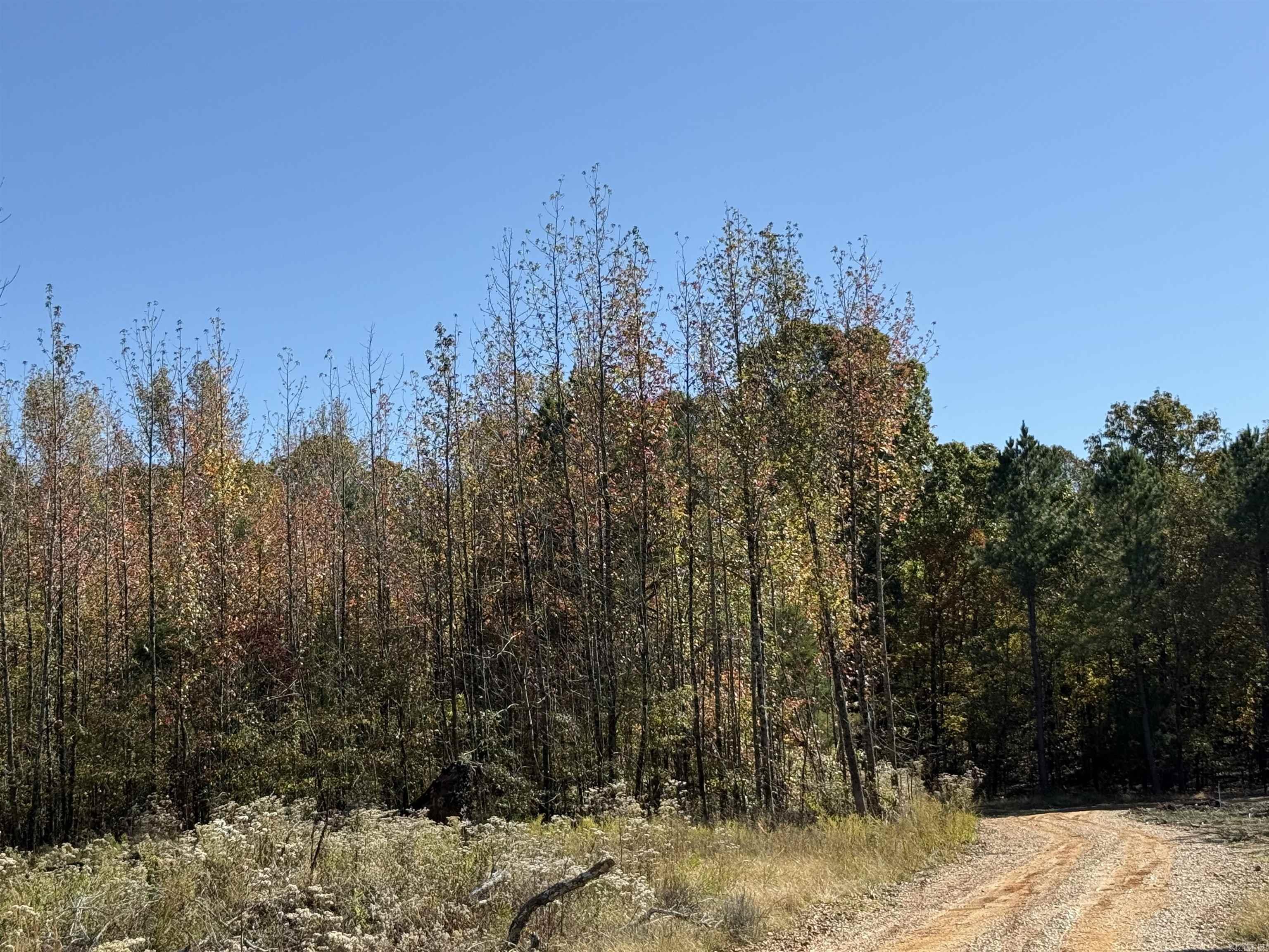 Metes & Bounds - Land