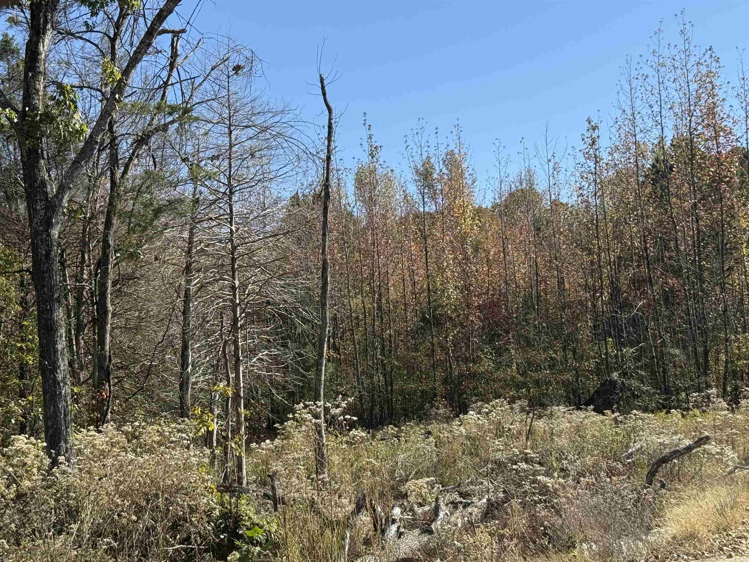 Metes & Bounds - Land