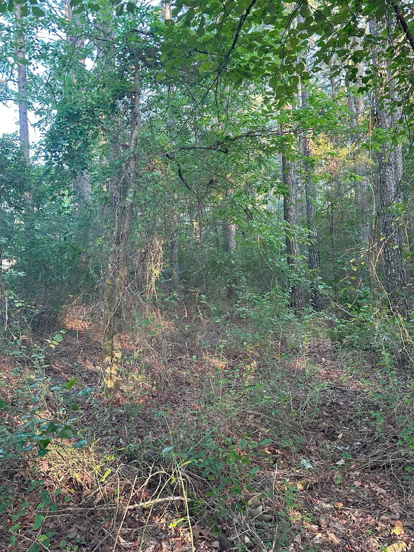 Not in Subdivision - Land