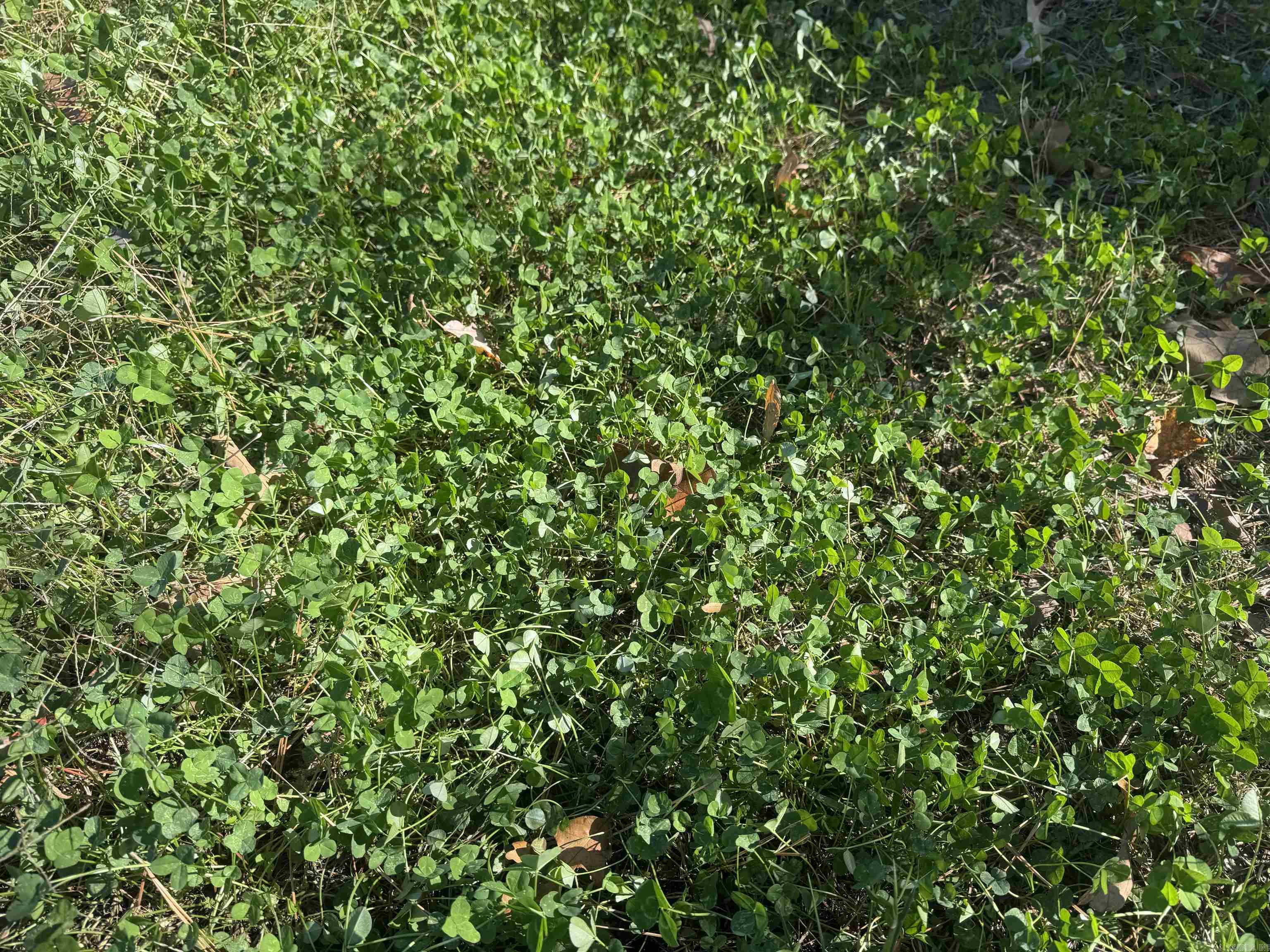 Not in Subdivision - Land