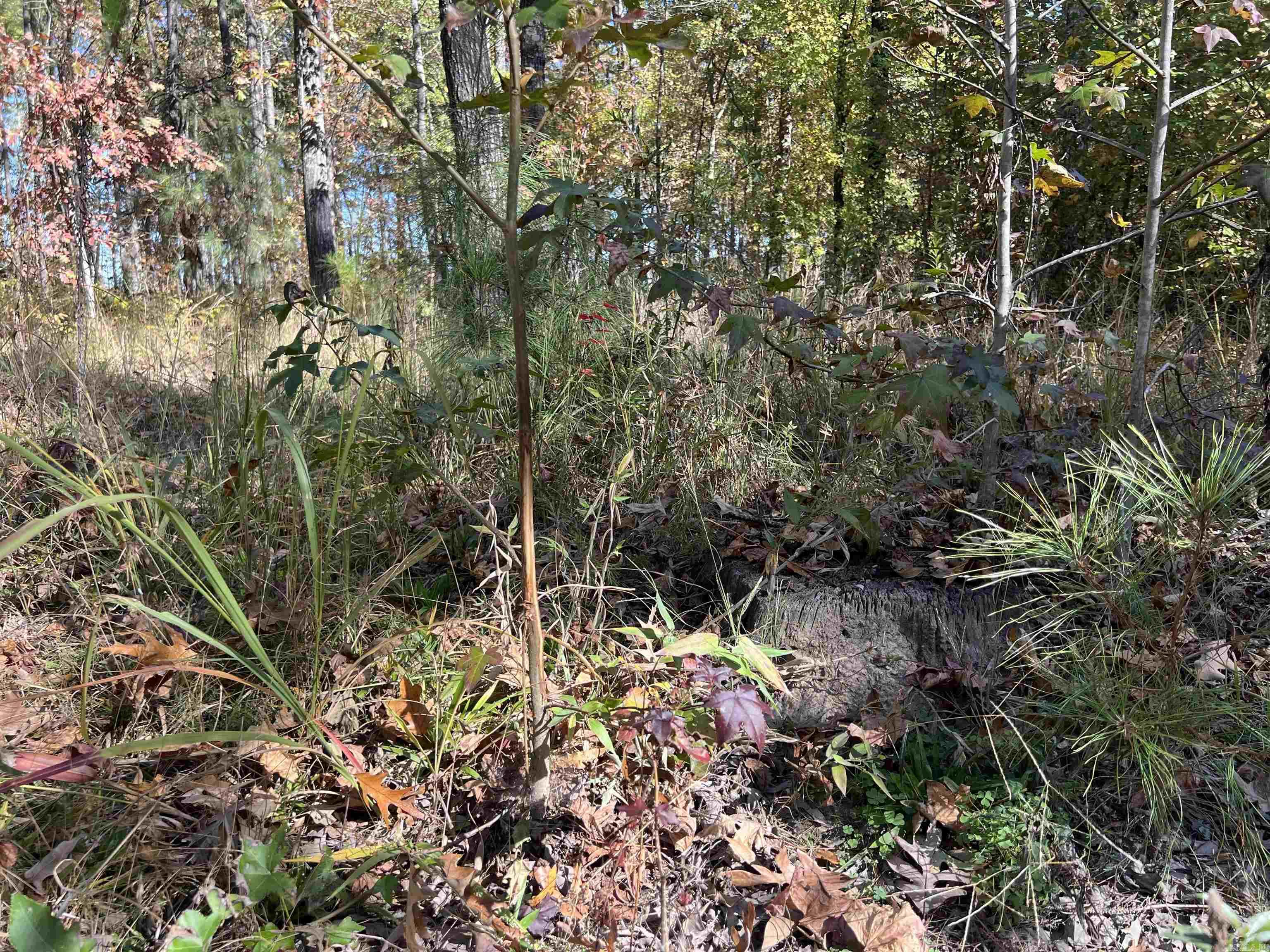 Not in Subdivision - Land