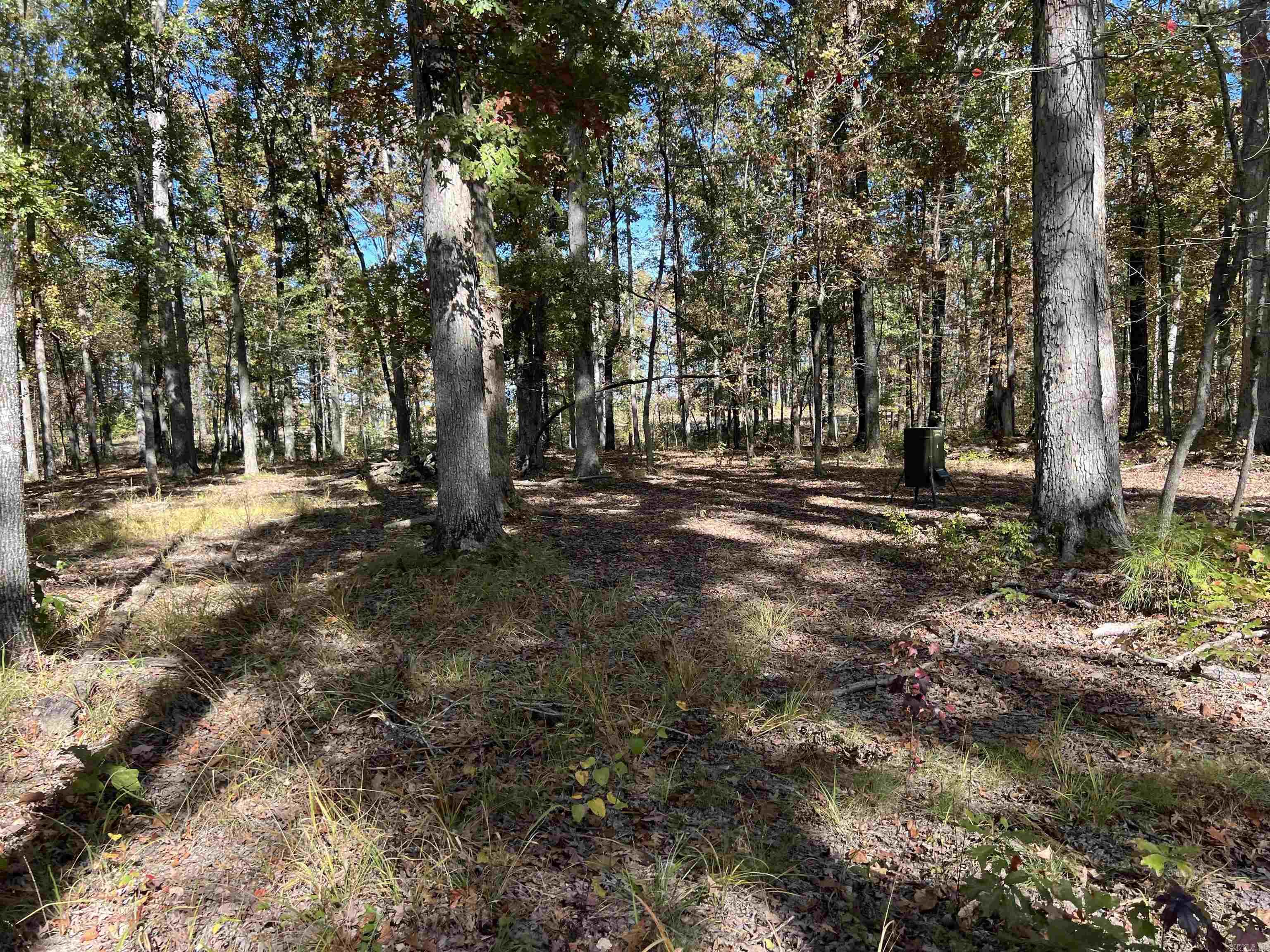 Not in Subdivision - Land