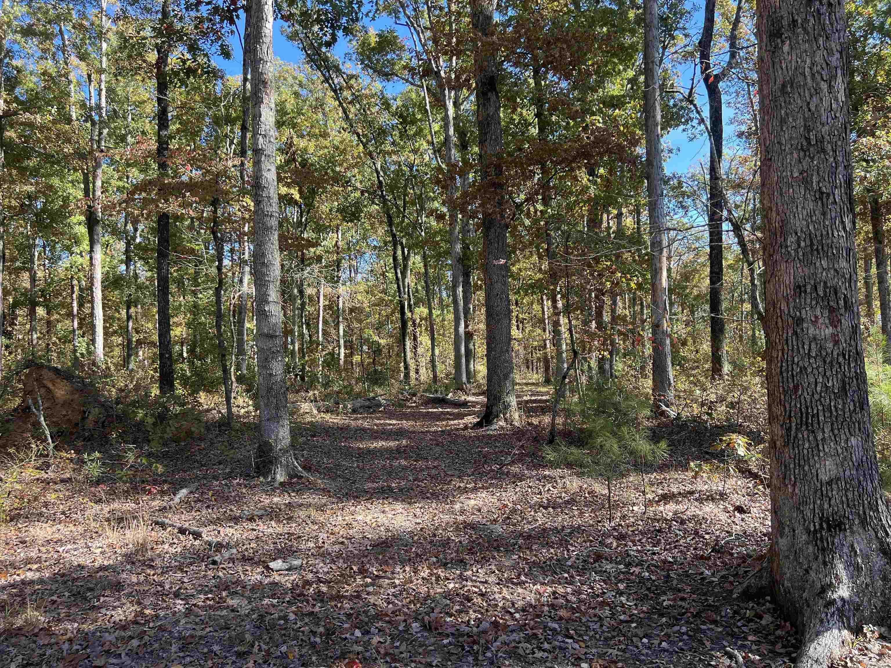 Not in Subdivision - Land