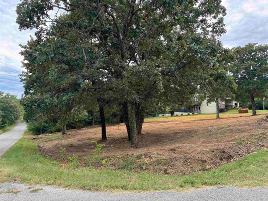 1207 N SHORE DR, HORSESHOE BEND, AR 72512 - Image 8ce85afed8d7ac2035c1ea8ed0d83115/1752499615