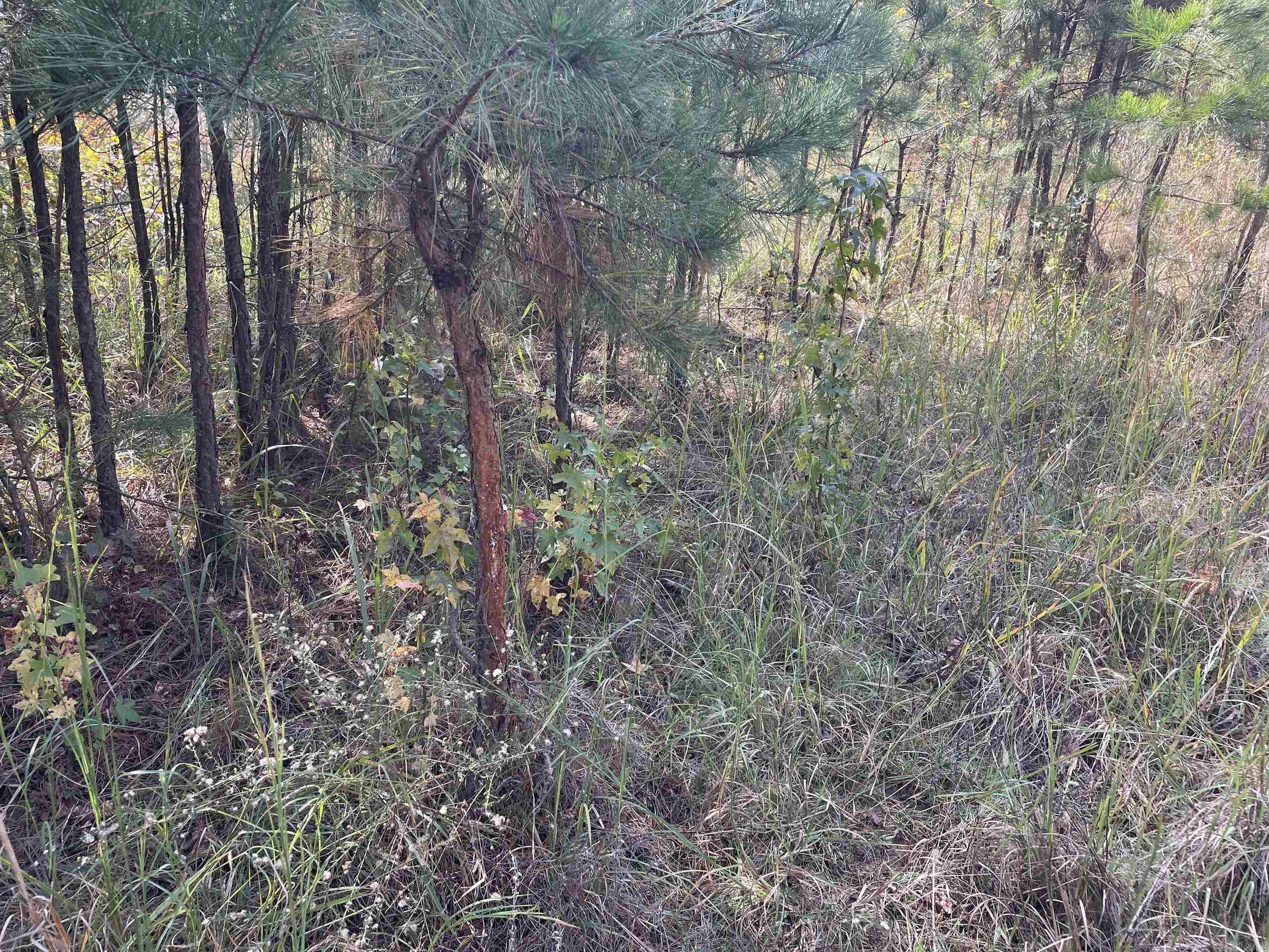 Not in Subdivision - Land