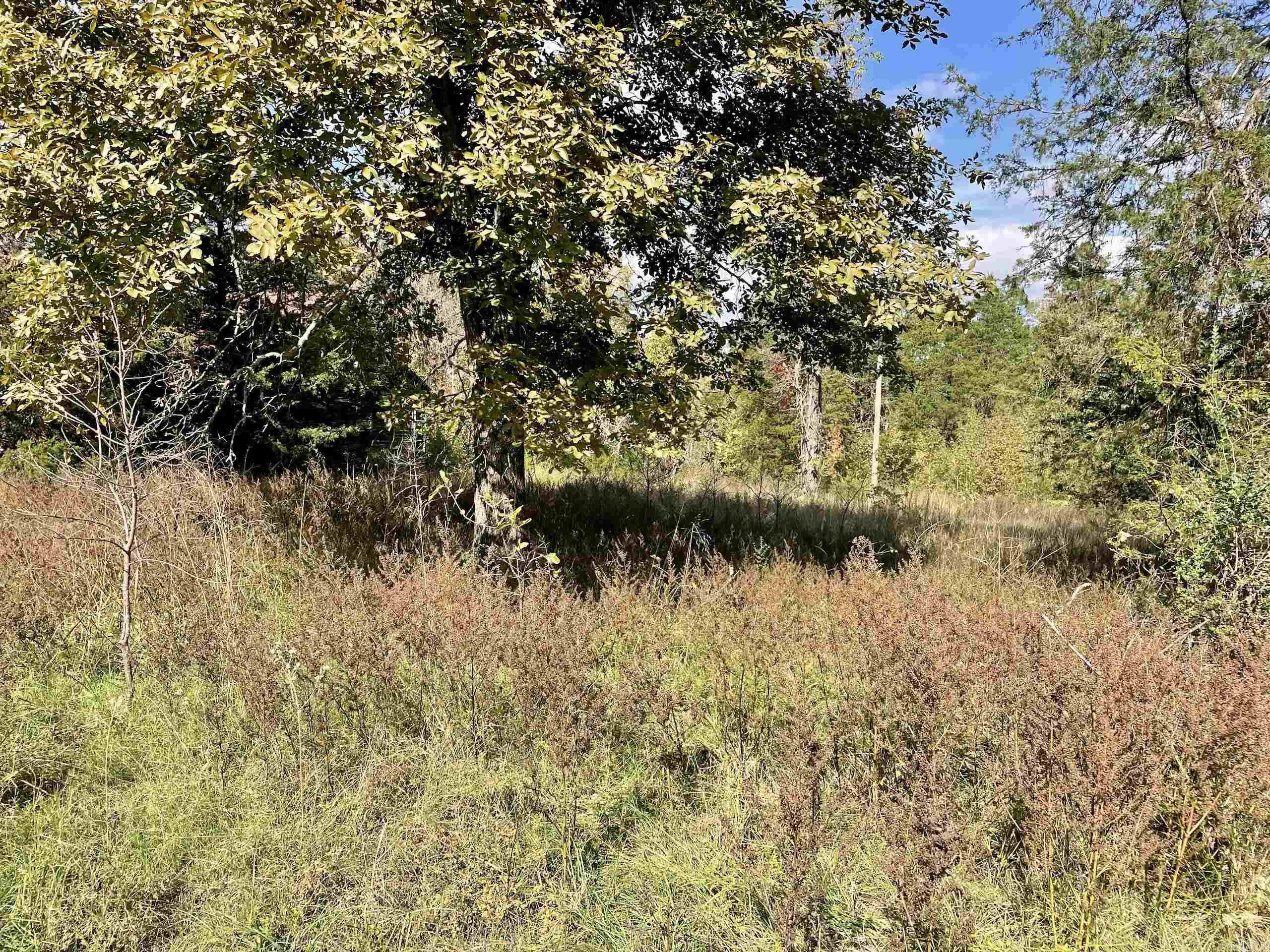 Not in Subdivision - Land