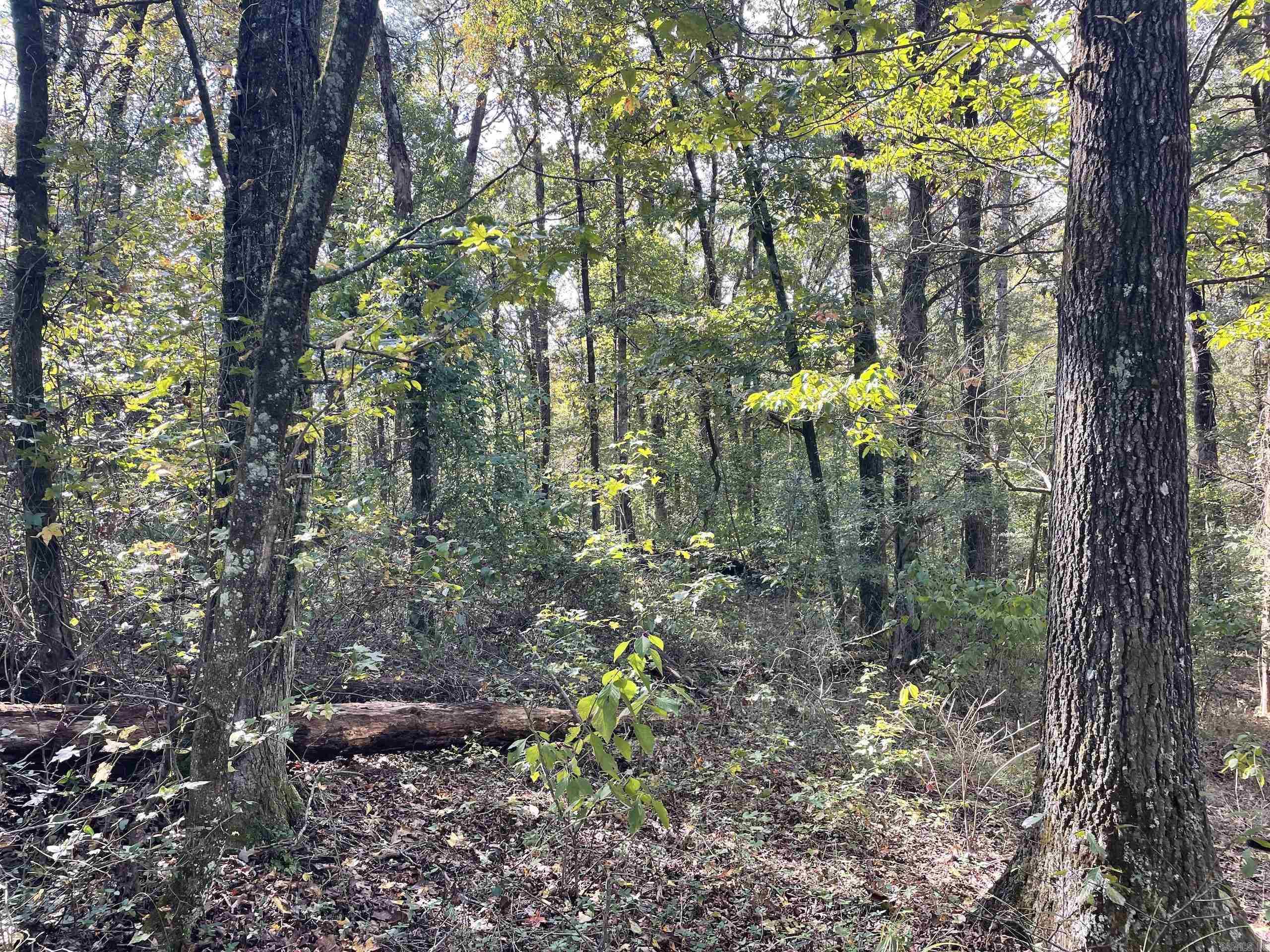 Not in Subdivision - Land