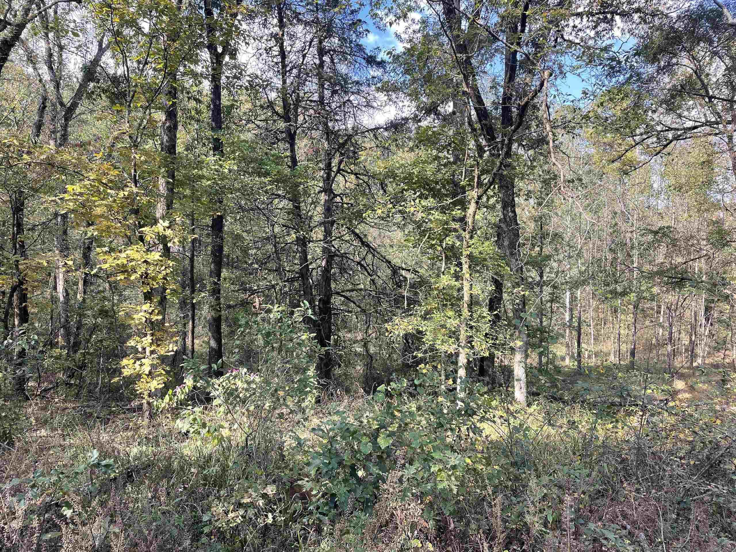 Not in Subdivision - Land