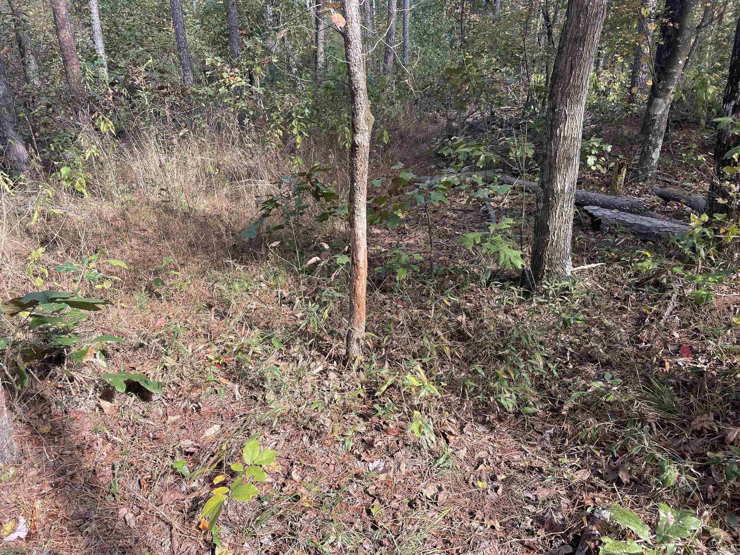 Not in Subdivision - Land