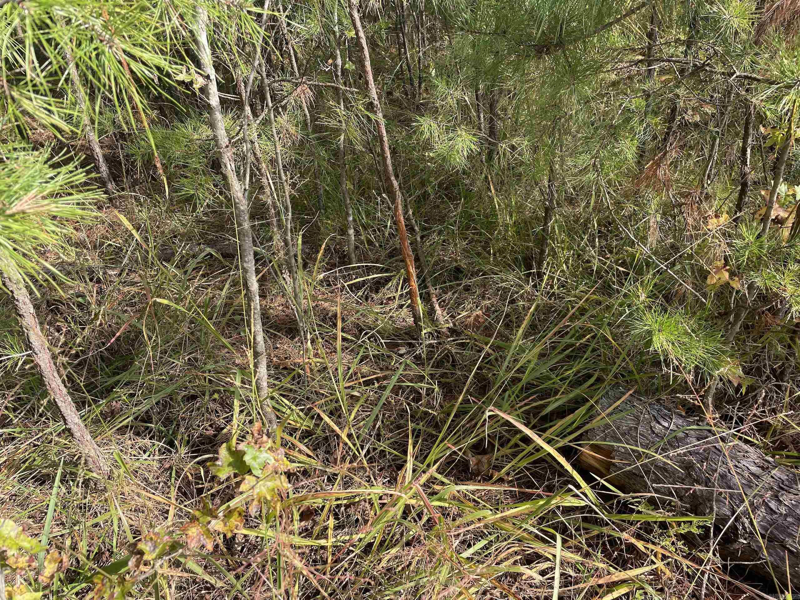 Not in Subdivision - Land