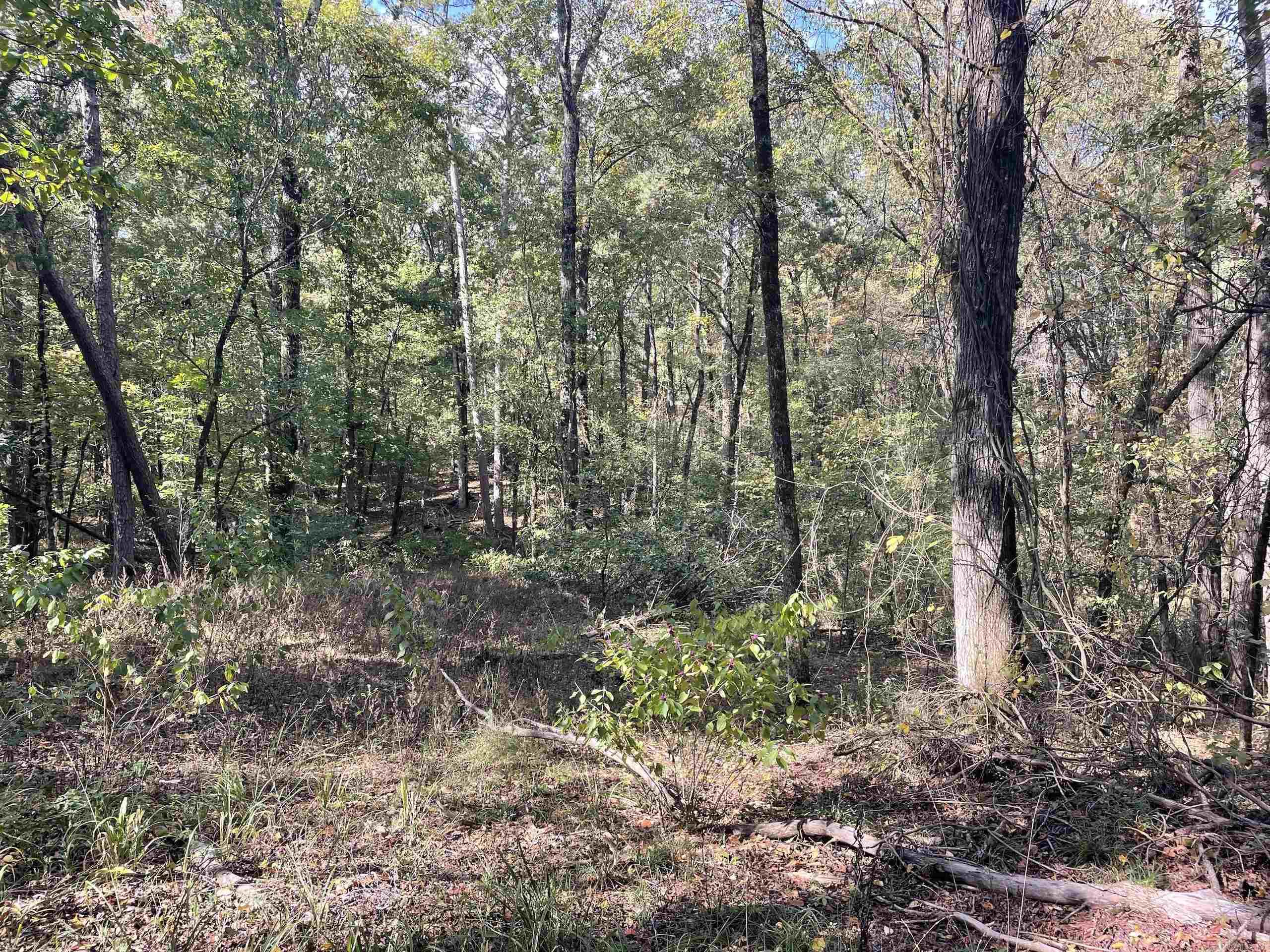 Not in Subdivision - Land