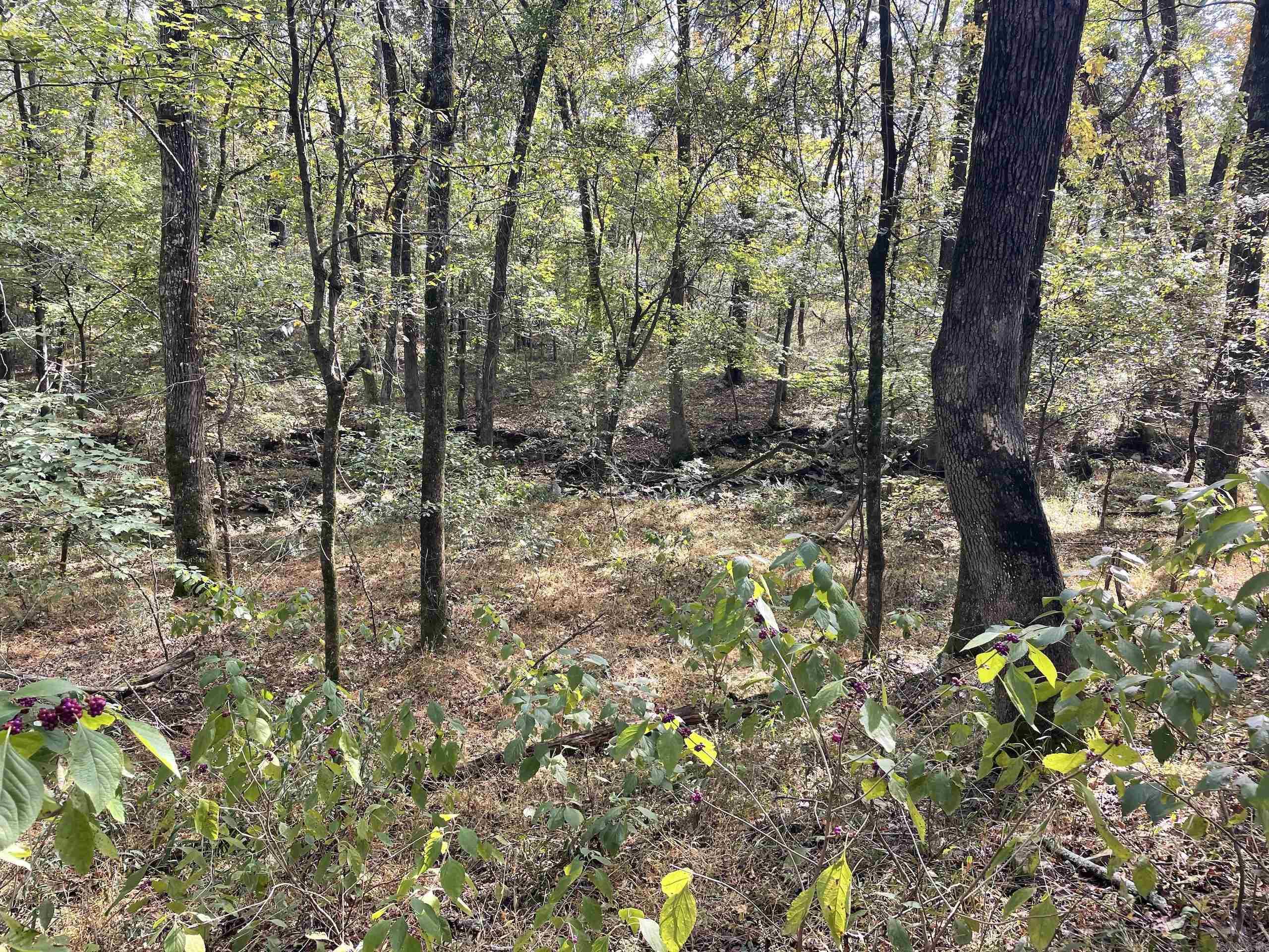 Not in Subdivision - Land