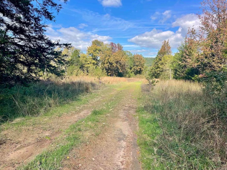 Discover the perfect secluded hunting property tucked away at the end of a quiet county road, offering privacy, natural beauty, and exceptional wildlife habitat. This Arkansas timberland tract features a strong mix of mature hardwoods and pine, creating ideal cover for deer, turkey, and small game, while also providing long-term value for timber investors.  A year-round creek winds through the property, enhancing wildlife movement and offering a peaceful, scenic backdrop for hunters and nature lovers. The land also includes the site of an old home place, complete with an existing well—an excellent starting point for anyone looking to build a cabin, hunting camp, or off-grid retreat.  Utilities are located nearby, giving you the flexibility to develop the property or simply enjoy it as a private getaway. With its dead-end road location, the property offers minimal traffic, maximum seclusion, and all the ingredients for an outstanding hunting and recreational retreat.  Whether you’re looking for a private hunting property, timbered acreage, or a rural homestead location, this tract delivers a unique combination of accessibility, solitude, and natural resources.