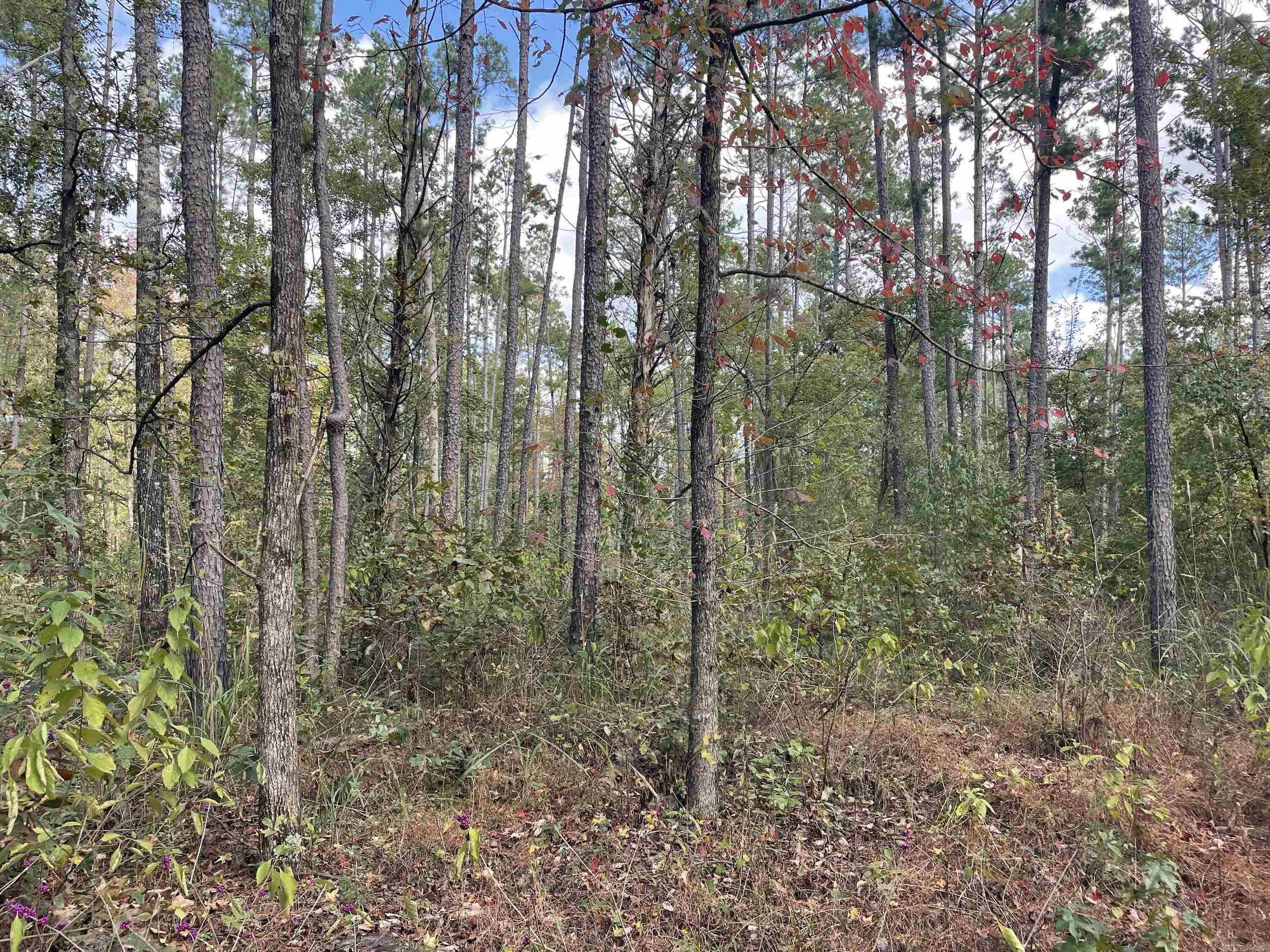 Not in Subdivision - Land