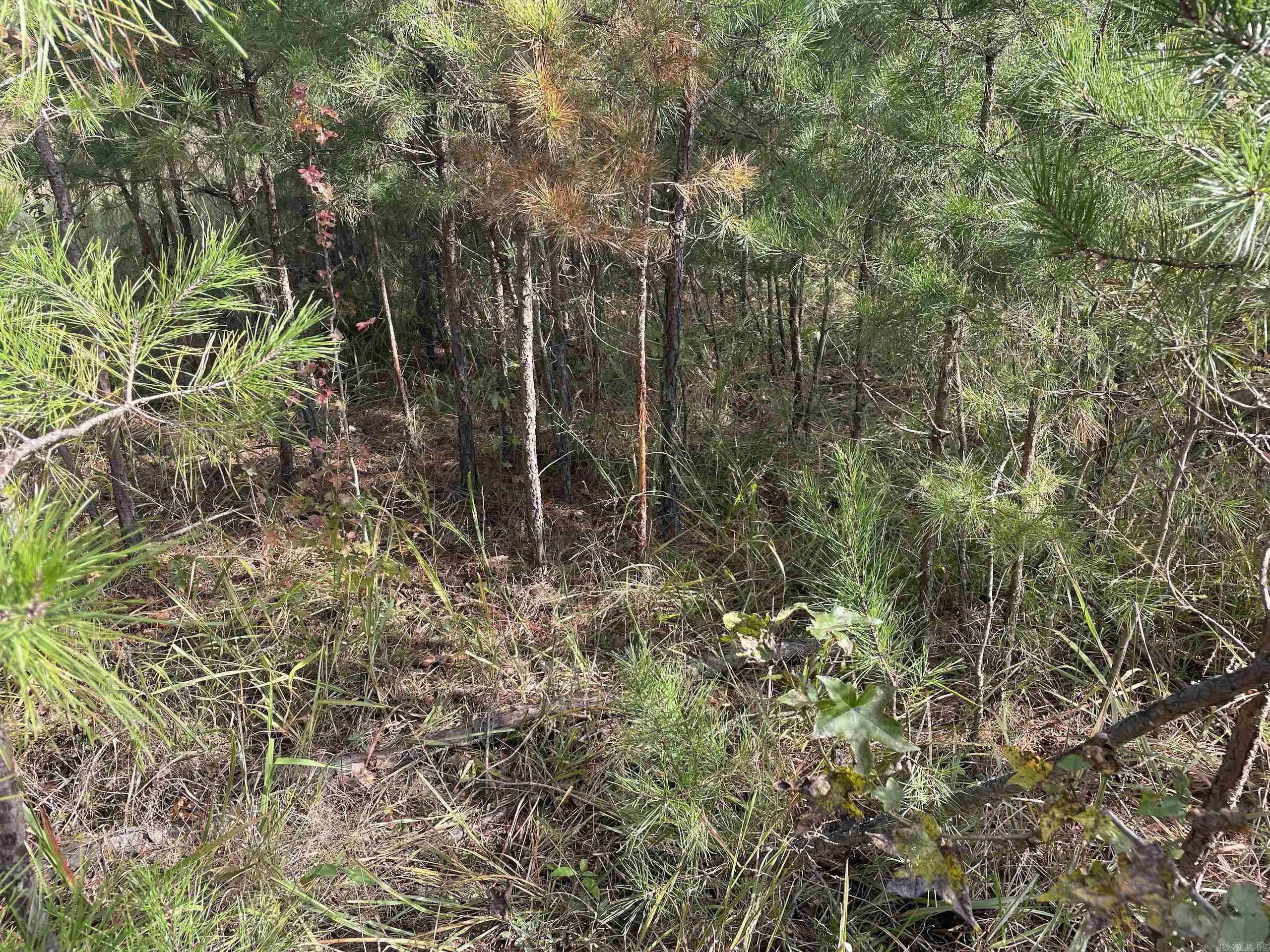 Not in Subdivision - Land