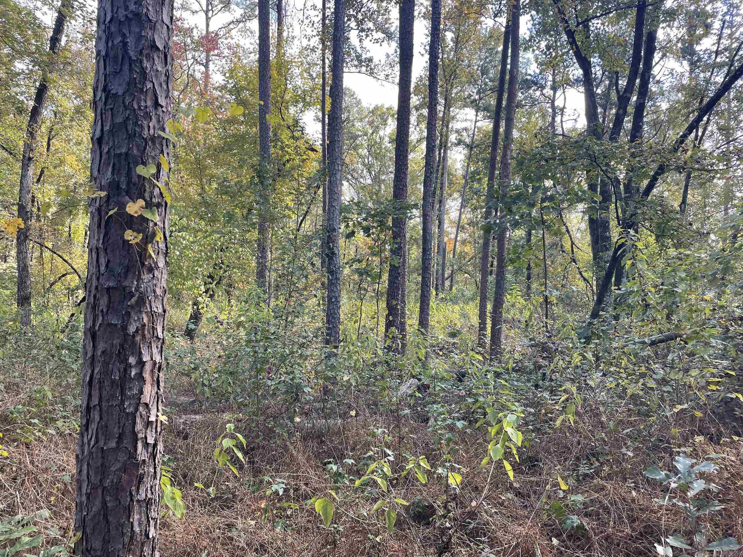 Not in Subdivision - Land