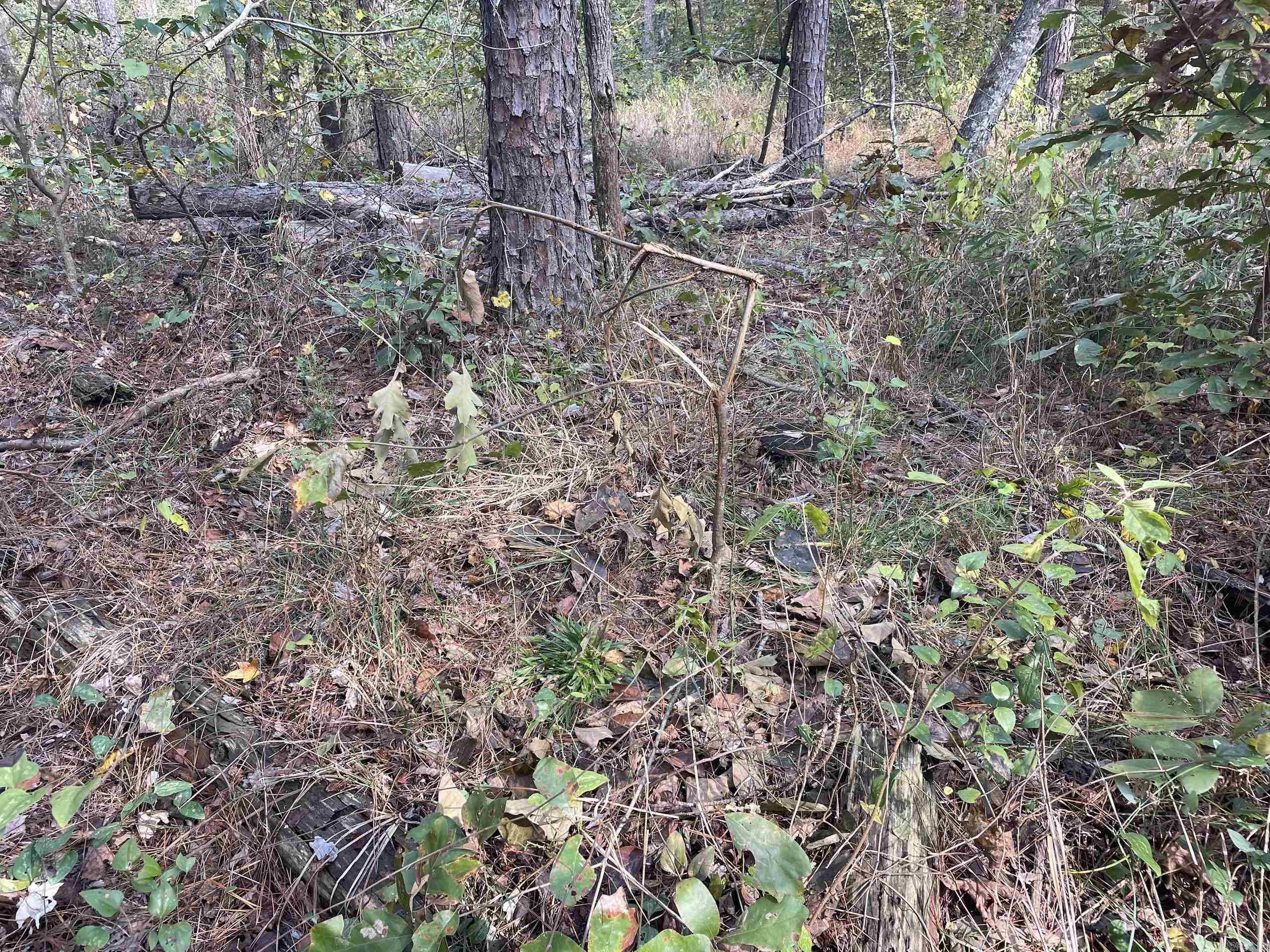 Not in Subdivision - Land