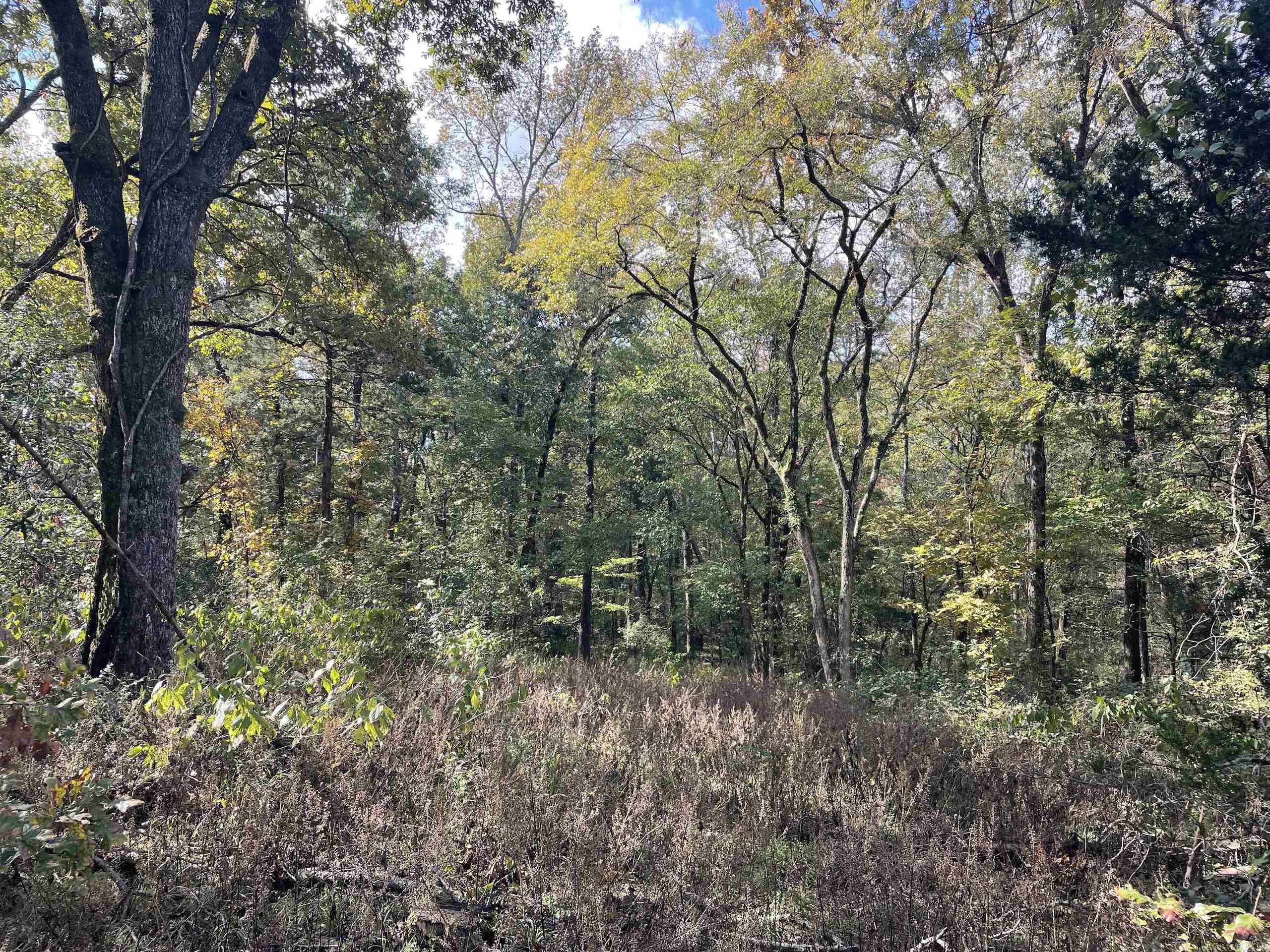 Not in Subdivision - Land