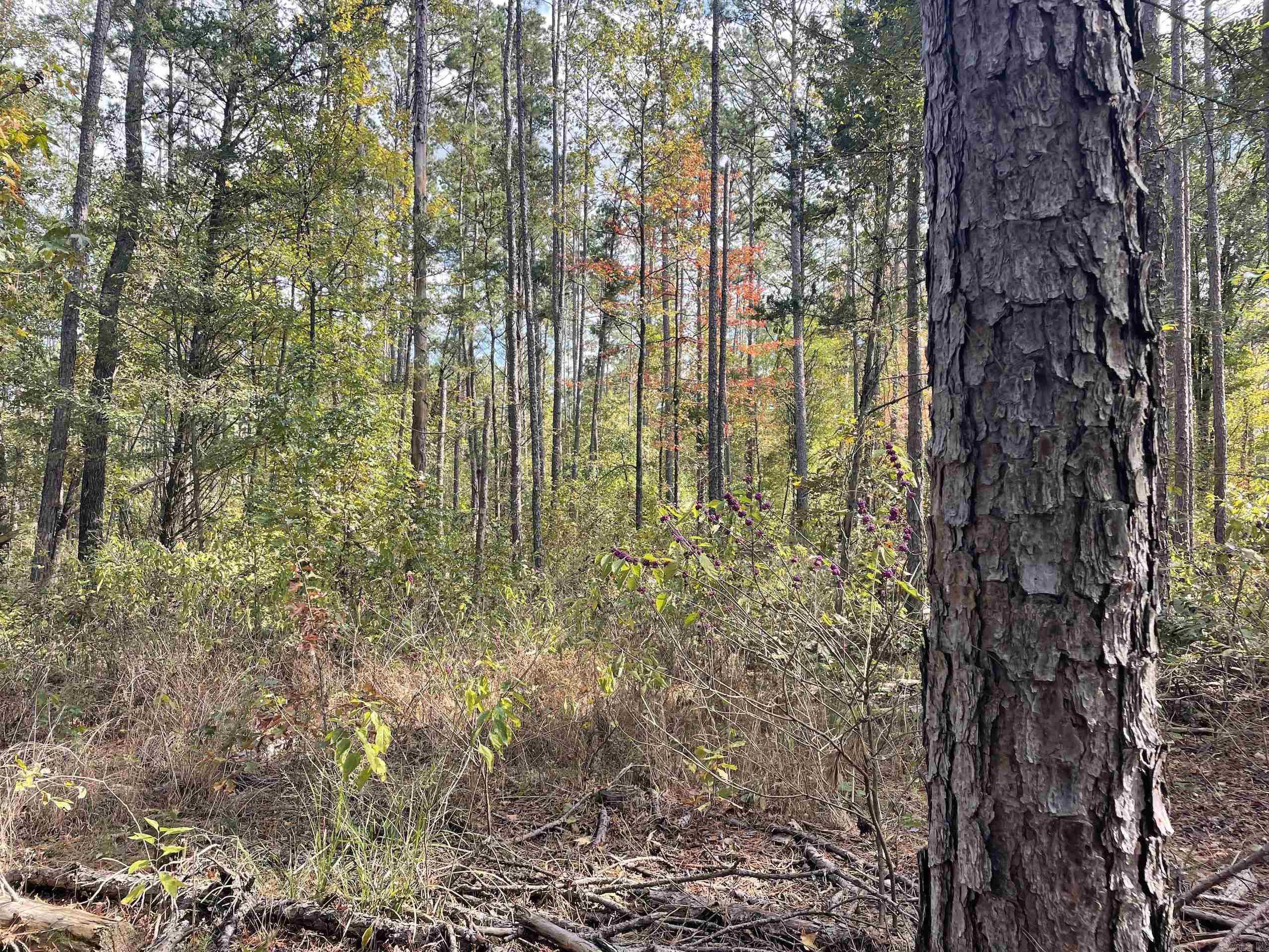 Not in Subdivision - Land