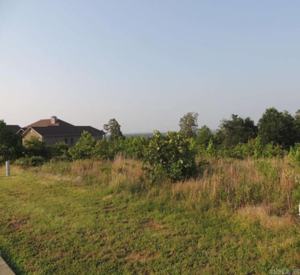 Have you always wanted to design your own home? Let me help you make that DREAM a reality!! This is one of Maumelle's most sought after Gated Communities! Spectacular views of the Ar River and Pinnacle Mountain with Breathtaking Sunsets!! Underground utilities to include; water, electricity, gas, sewer and high speed ATT fiber internet! Minimum sq ft requirements are 2500 sq ft. Gates are open on Sat and Sun from 1-4.