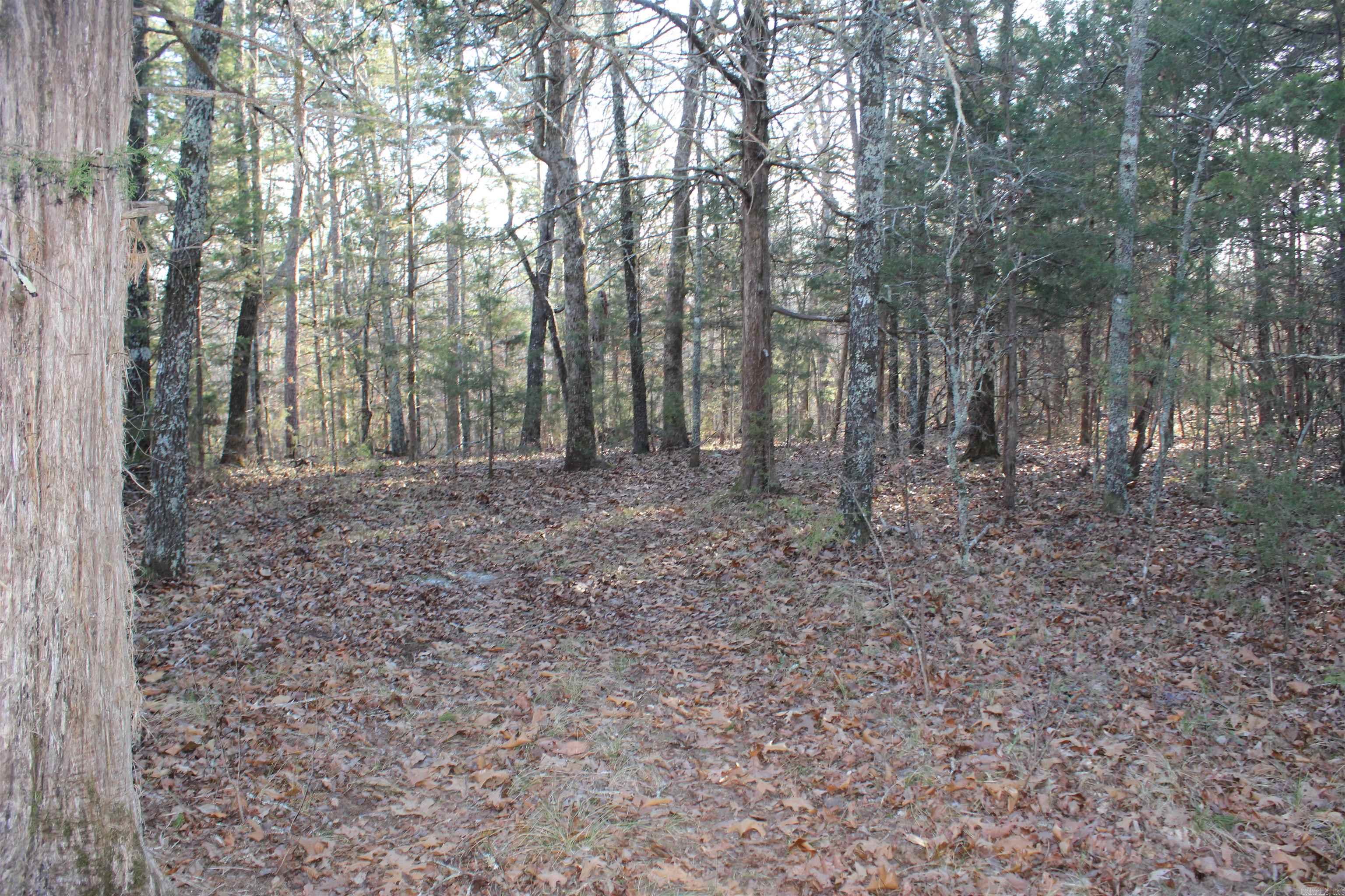 Metes & Bounds - Land