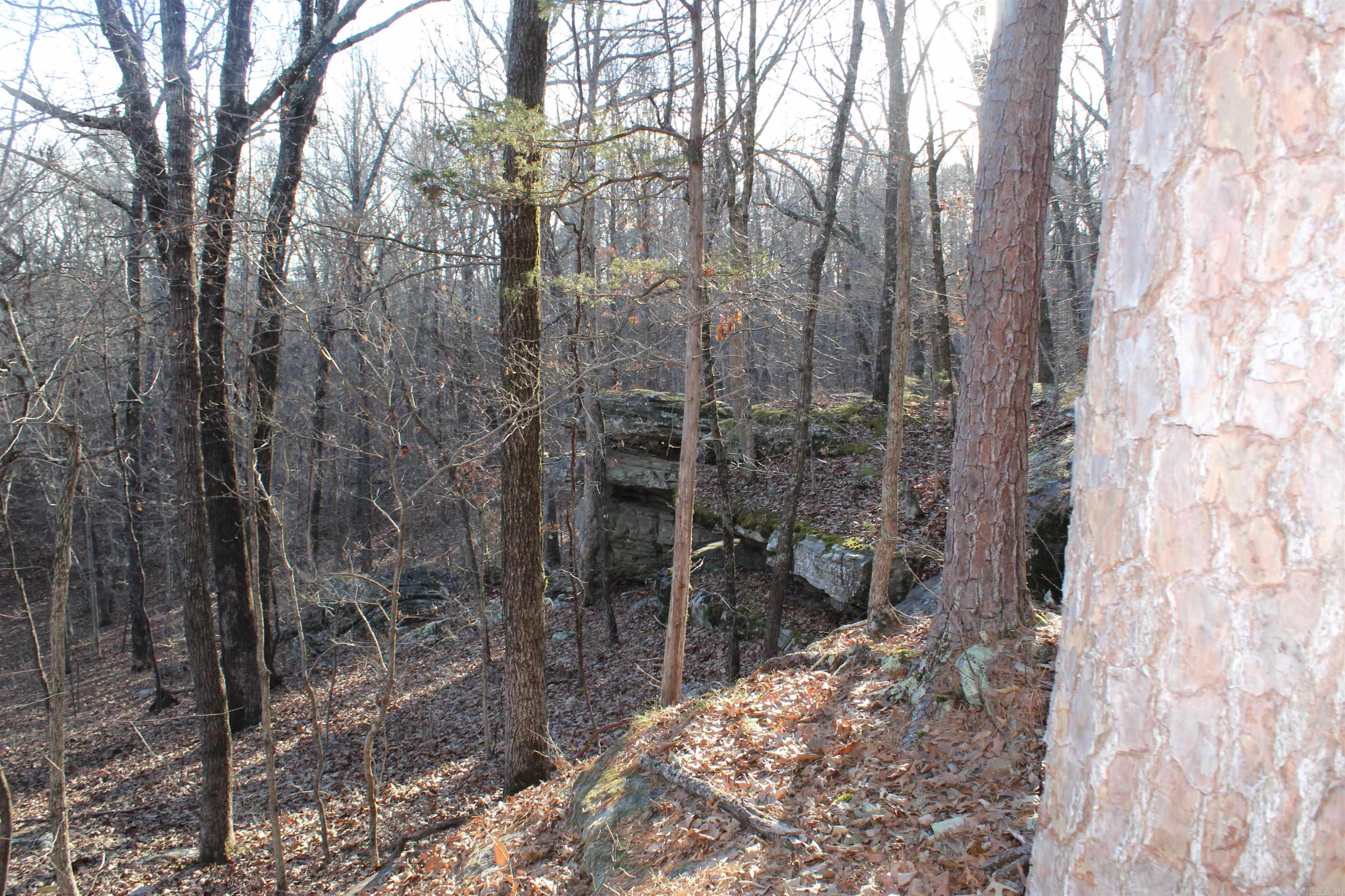 Metes & Bounds - Land